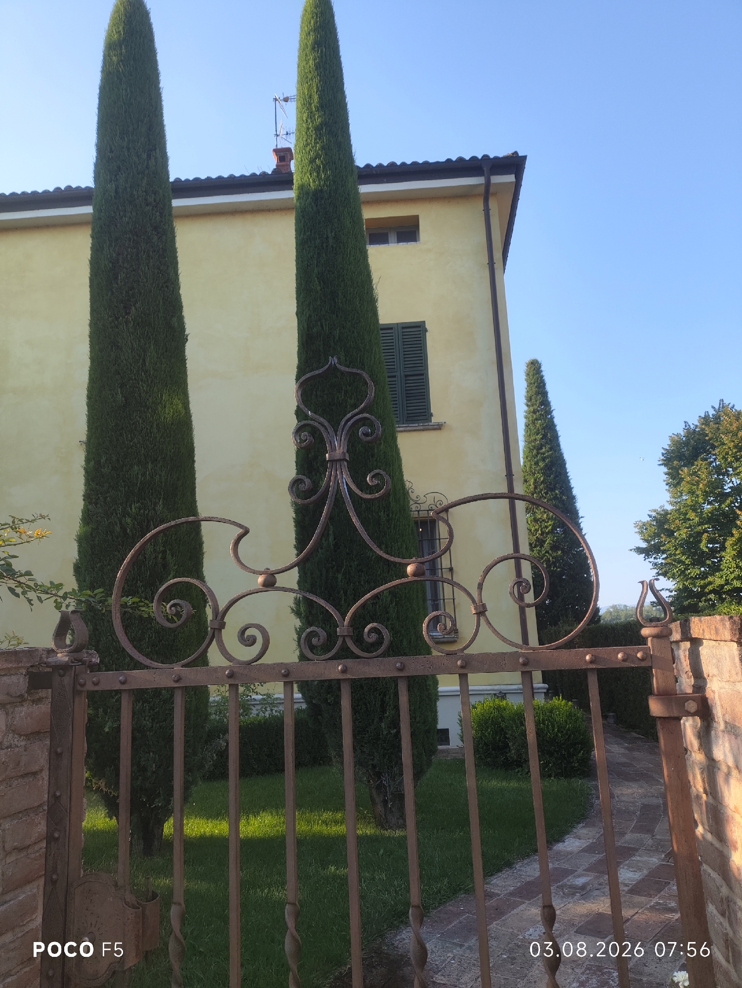 The image shows a view through an ornate, rusty metal gate towards a light yellow building with a tiled roof and a chimney. Two tall, dark green cypress trees stand in front of the building, flanking a window with green shutters. In the foreground, the gate is made of vertical bars and decorative scrolled metalwork. To the right of the cypress trees, a paved path leads through a well-maintained garden with green grass and manicured bushes. The sky is clear and blue. A brick pillar supports the right side of the gate. The timestamp "03.08.2026 07:56" and "POCO F5" are visible in the lower right and lower left corners, respectively. The scene is likely a private residence or property in the city of Collecchio, Italy.