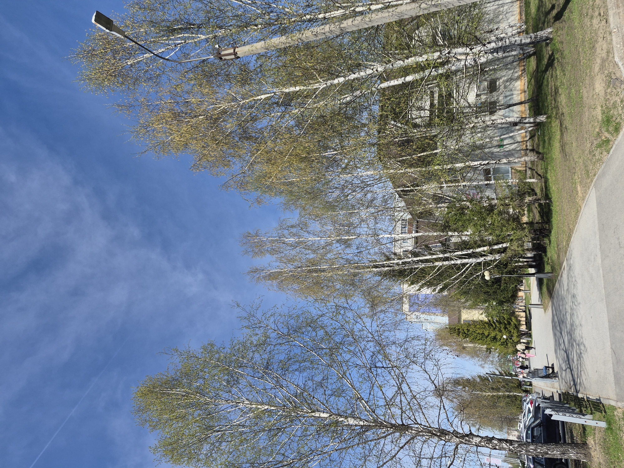 The image depicts a street scene in Tobolsk, Russia, lined with birch trees exhibiting early spring foliage. A concrete sidewalk runs parallel to the trees, adjacent to a building with a light-colored facade. A paved road extends along the side of the sidewalk. Several people are walking along the sidewalk. Cars are parked. A blue sky with light clouds forms the backdrop. Streetlights are visible.