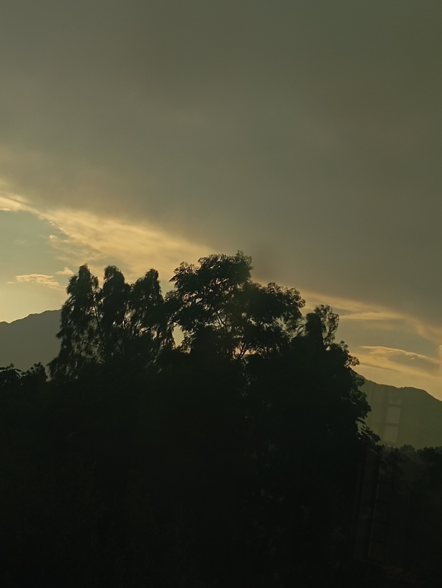 This media file depicts a silhouetted landscape at dusk or dawn. The foreground is dominated by dark, shadowy trees, their foliage dense and casting deep shadows. Behind the trees, mountains are visible, their outlines softened by distance and the dim light. The sky is a prominent feature, filled with swirling clouds that are illuminated by the setting or rising sun. These clouds create a dramatic, somewhat overcast atmosphere, with bands of lighter, warmer tones of yellow and orange intermingling with darker grays and blues.
The lighting suggests a time of day when the sun is low on the horizon, casting a diffused and ethereal glow. The overall mood is tranquil and somewhat melancholic, due to the subdued colors and the silhouetted forms. There are no people or specific objects identifiable in the foreground or mid-ground. In the far right background, faint structures that could be buildings are visible, suggesting a proximity to human habitation, but they are indistinct and blend into the landscape. The weather appears to be partly cloudy, with the clouds playing a significant role in the visual composition and the overall mood of the scene. The location is not specified, but the presence of mountains and dense vegetation points towards a natural or semi-rural setting.