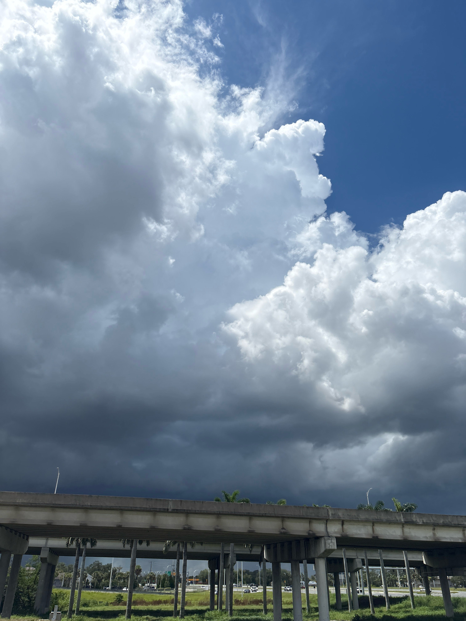 This image, taken in Ellenton, United States, depicts a dramatic sky with a mix of dark, ominous storm clouds and bright, fluffy white clouds against a clear blue sky. Below the sky, a concrete overpass supported by pillars stretches across the frame. The area beneath the overpass appears to be a grassy median with scattered palm trees. In the distance, traffic can be seen on a lower roadway, and streetlights are visible. The overall scene suggests a transitional weather event, possibly a thunderstorm approaching or receding, with the overpass acting as a prominent man-made structure within the natural environment.