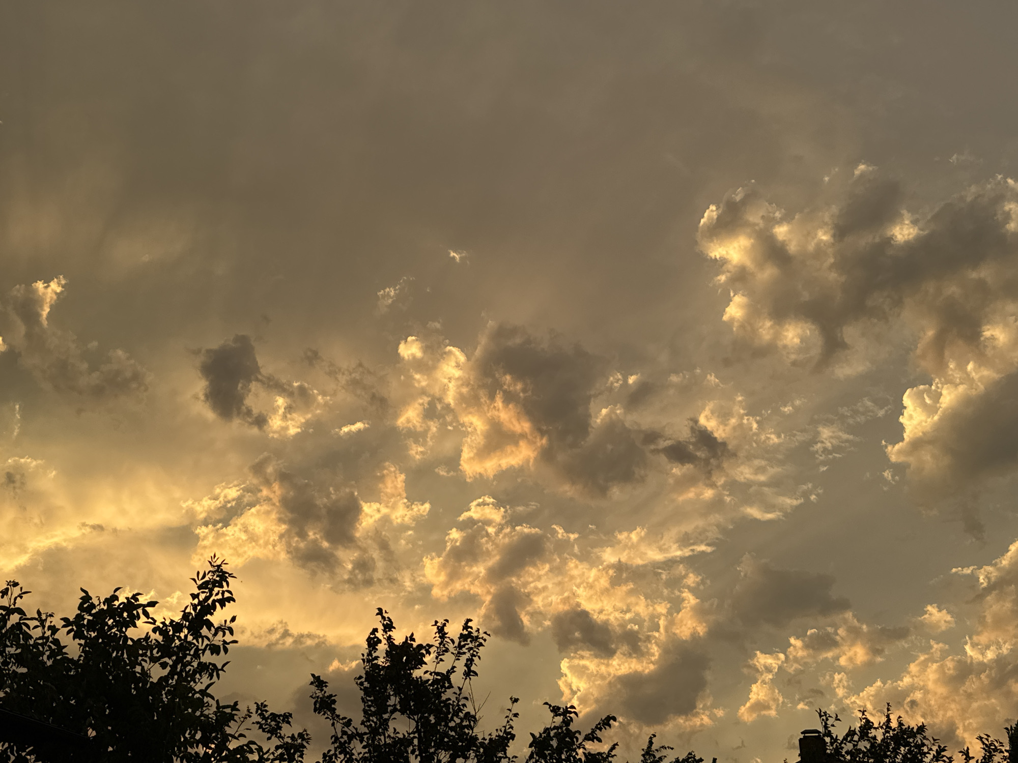 This media file is a photograph of a dramatic sky filled with clouds, likely taken at sunset or sunrise due to the warm, golden light illuminating the cloud formations. The sky is a mix of darker, shadowed clouds and brightly lit, textured clouds that appear to be catching the last rays of the sun. Wispy streaks of light emanate from behind some of the clouds, creating a sense of depth and movement.
In the foreground, silhouetted against the bright sky, are the dark shapes of tree branches and leaves. The foliage is dense in some areas, obscuring the sky behind it, while in others, the branches are more sparse, allowing for a clearer view of the clouds. A small section of a dark rooftop with a chimney is visible in the lower right corner, suggesting an outdoor, possibly residential, setting.
The overall mood is one of awe and natural beauty. The contrast between the dark silhouettes and the illuminated clouds evokes a feeling of dramatic grandeur. The time of day is clearly indicated by the quality of light, and the presence of clouds suggests either fair weather with potential for rain, or the aftermath of a storm. There is no visible text in the image.