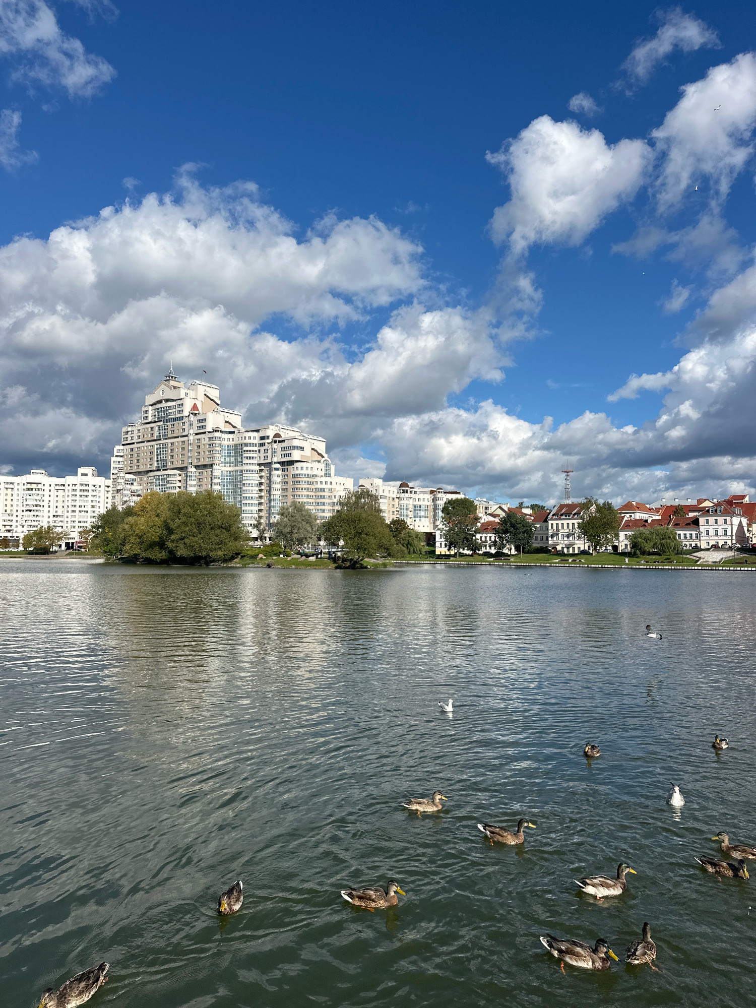 The image depicts a wide shot of the Svislach River in Minsk, Belarus, on a partly cloudy day. The river occupies the foreground and mid-ground, with a rippling surface reflecting the sky and the buildings on the opposite bank. A flock of ducks and several seagulls are scattered across the water, some swimming and others resting.
The background features the distinctive architecture of Minsk, with a prominent, multi-tiered building resembling a stepped pyramid dominating the skyline on the left. To its right, a row of lower-rise buildings with red-tiled roofs lines the riverbank, interspersed with trees. The sky is a vibrant blue, punctuated by fluffy white clouds that cast shadows on the water and the cityscape. The overall scene suggests a peaceful urban environment, likely a public park or waterfront area within the city. No people are visible in the image.