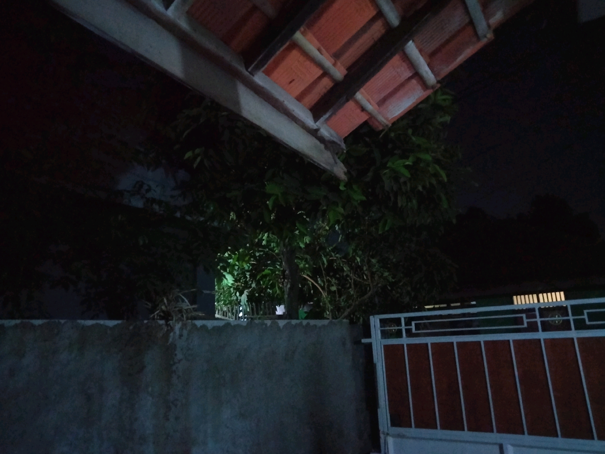 The image shows an outdoor scene at night, possibly in the city of Suka Sari, Indonesia. In the foreground, there is a textured concrete wall. To the right of the wall is a metal gate with vertical reddish-brown panels and a white frame. Above the wall and gate, a roof structure is visible, constructed with orange tiles and wooden beams. Behind the wall and under the roof, there are dense green trees and foliage. The scene is dimly lit, suggesting it is nighttime.