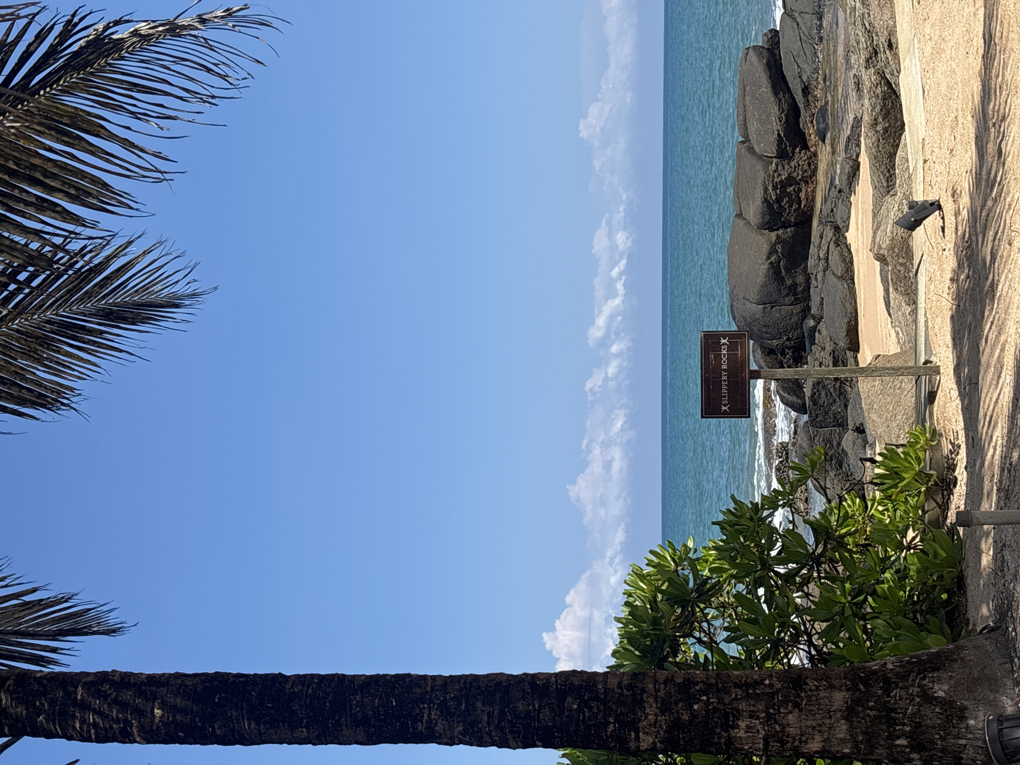 The image captures a vibrant, sunlit tropical coastline, seen from a slightly elevated perspective. A clear blue sky, sparsely dotted with fluffy white clouds, dominates the upper half of the frame. The lower half features a calm, turquoise blue ocean, stretching to meet the horizon on the right. Waves gently break against a rugged shoreline composed of large, dark grey rocks and boulders, which separate the ocean from a light-colored sandy or concrete path.
In the foreground, a thick, dark palm tree trunk runs vertically along the left side of the frame, with its fronds extending into the top left corner. Another palm tree trunk is visible in the bottom right corner, alongside a vibrant green bush with dense foliage, which partially obscures the rocks and sea.
Near the rocky shore, a brown rectangular sign is posted, displaying white text that clearly reads "SLIPPERY ROCKS" accompanied by a warning 'X' symbol. A dark object, possibly an outdoor light fixture or a shoe, rests on the pathway close to the sign. The bright, even lighting indicates it is daytime, likely mid-morning or afternoon. The scene is devoid of people, emphasizing the natural beauty and peacefulness of the coastal environment, consistent with a location such as Ahungalla, Sri Lanka.