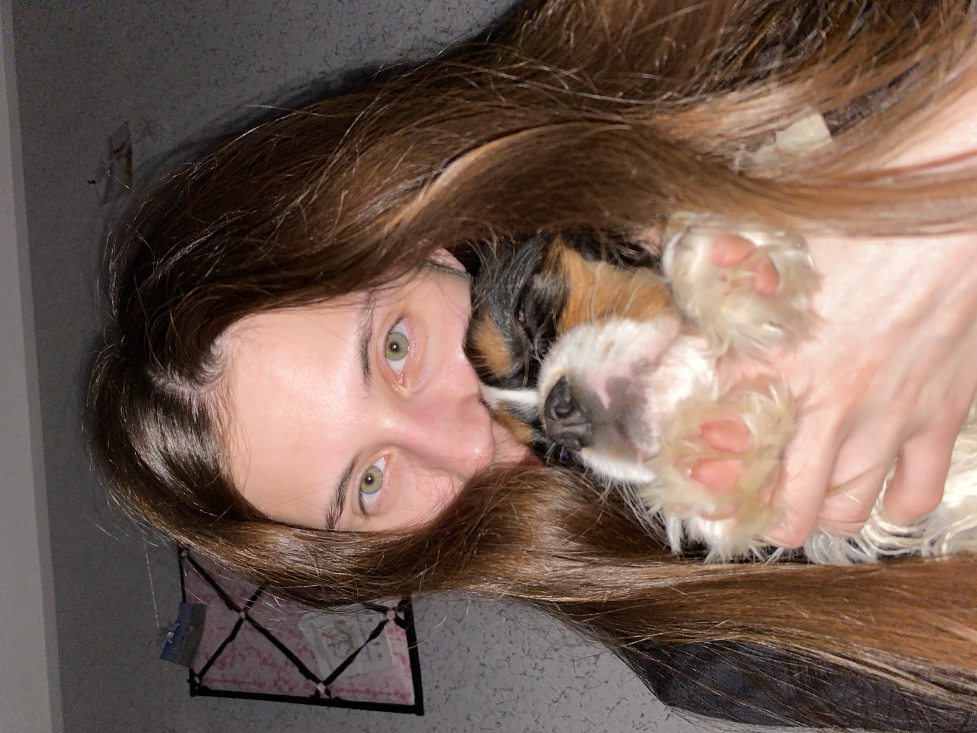 A young woman with long, dark brown hair is captured in a close-up, sideways shot, embracing a small, tri-color dog (black, tan, and white fur) indoors, likely in Votkinsk, Russia. Her face is partially obscured by her hair and the dog, but her striking green/hazel eyes are clearly visible, looking directly at the viewer. She holds the dog affectionately close to her cheek. The dog's snout and white, fluffy paws, revealing distinct pink paw pads, are prominent in the foreground. The dog appears calm and relaxed, possibly resting or sleeping. In the background, a light-colored, possibly textured wall is visible, along with a framed object that resembles a bulletin board or a decorative frame with papers attached. The lighting in the room is dim, suggesting an evening or nighttime setting. The image conveys a sense of warmth, comfort, and deep affection between the woman and her pet. There is no visible text in the image.