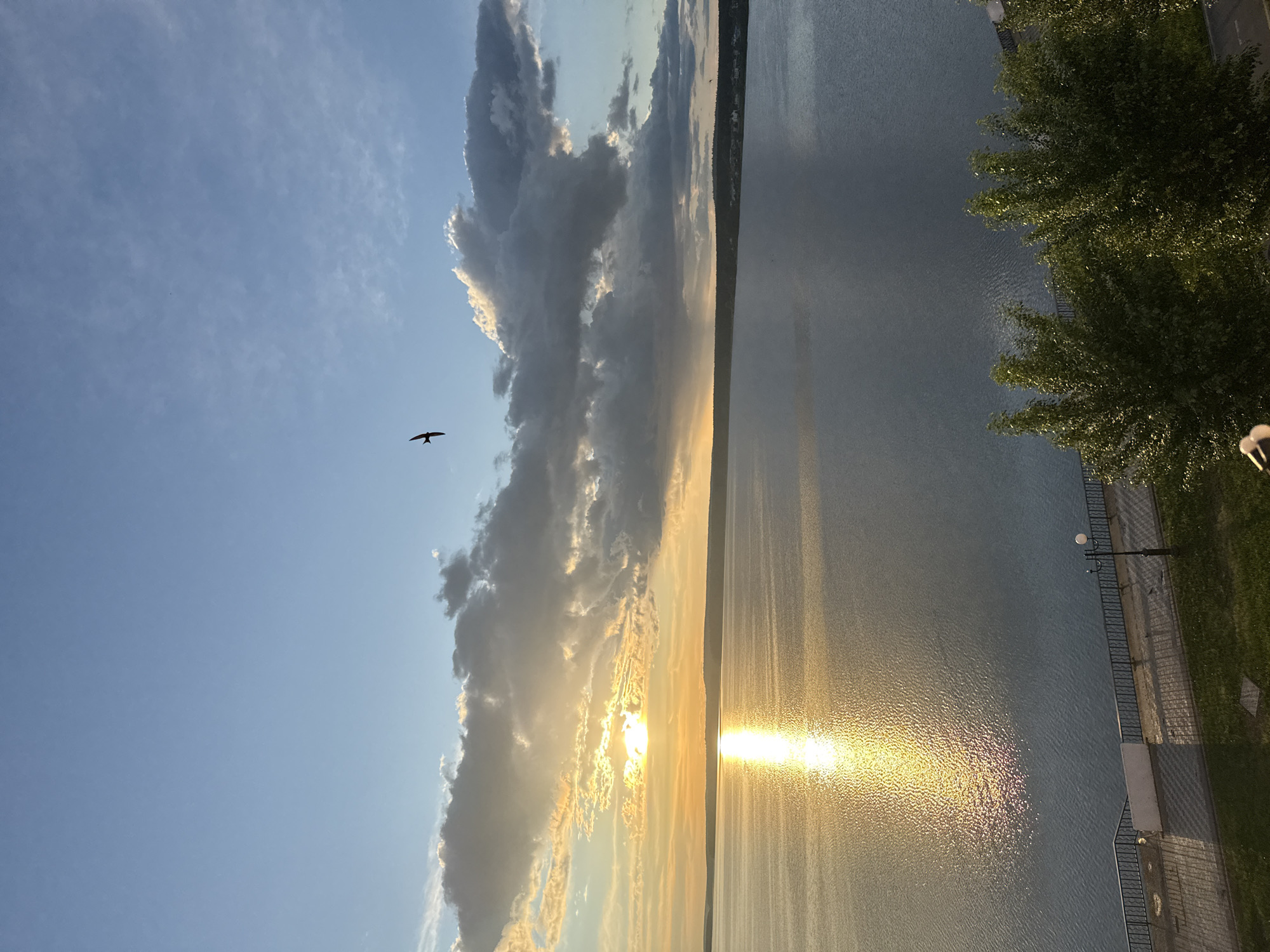 The image shows a sunset over a body of water, likely the Votkinsk Reservoir in the city of Votkinsk, Russia. To the right, there's a paved embankment with a metal fence, a lamppost, and green grass and trees. The setting sun is reflected on the water, creating a bright, shimmering effect. To the left, there are clouds, with a bird flying in the blue sky. In the distance, a treeline is visible across the water.