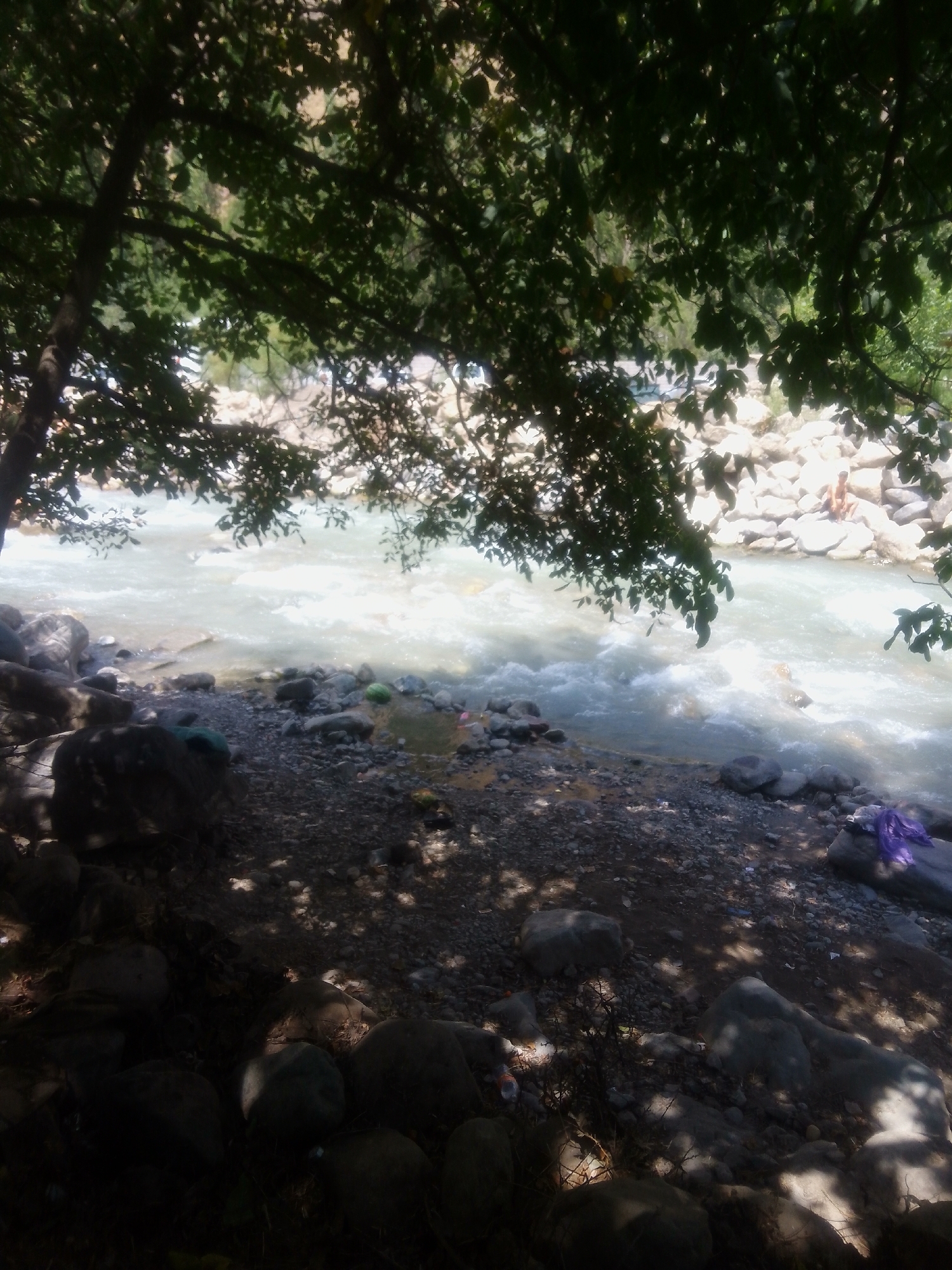 The image depicts a natural scene near a riverbank, possibly in or around Chaknak, Uzbekistan. The foreground is dominated by large, dark rocks and gravel, with dappled sunlight filtering through dense tree foliage overhead, creating a shaded effect. A shallow section of a flowing river is visible, with whitewater indicating movement and possibly a slight incline. The water appears somewhat murky. On the far bank, there are large, light-colored rocks and a person sitting or lounging on them. A few scattered items, including what appears to be a piece of purple cloth or plastic on the riverbank, are also visible. The overall impression is a somewhat unkempt natural area, potentially a recreational spot by the river.