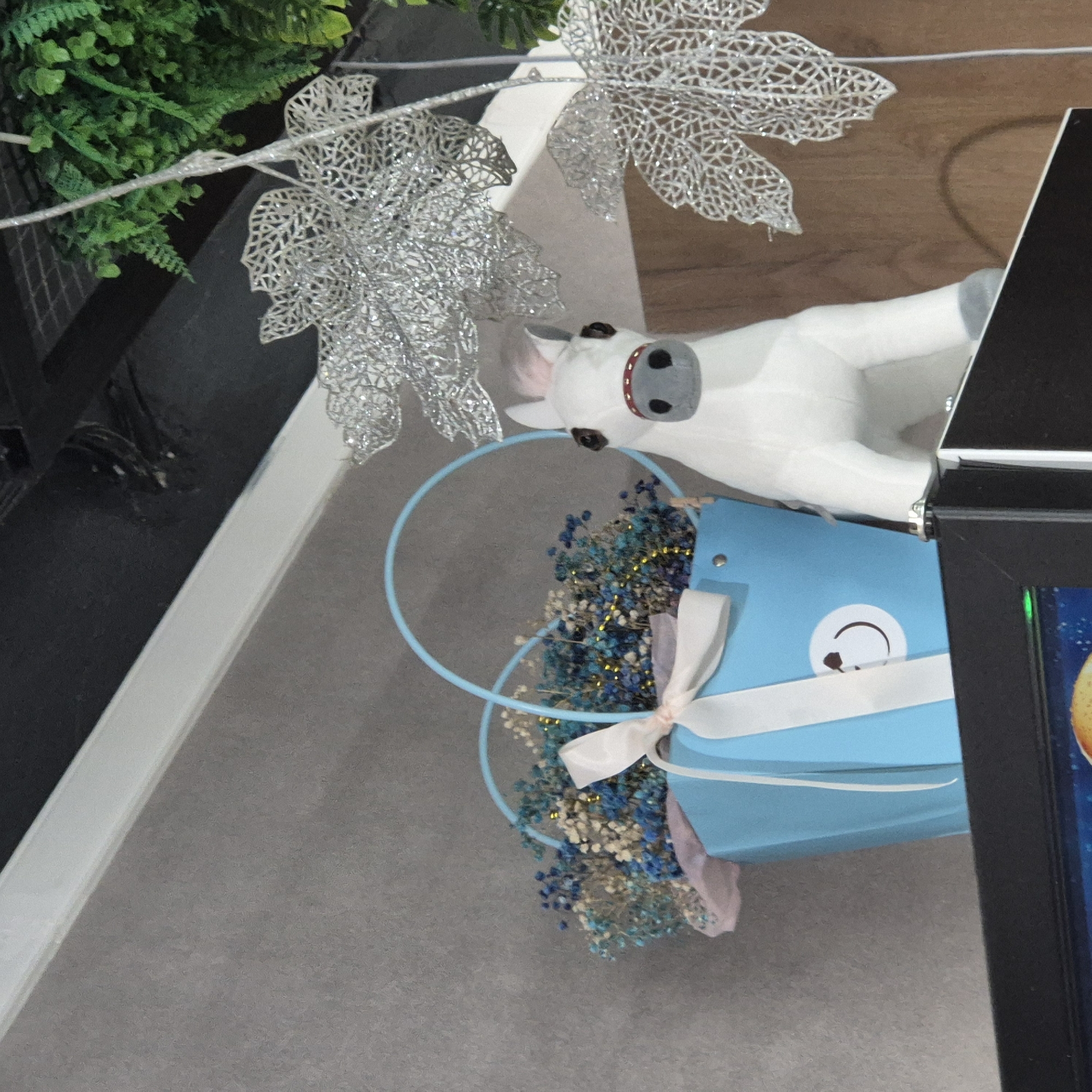 The image shows a white plush toy horse on a shelf. Next to the horse is a blue gift bag filled with dried flowers, decorated with a white ribbon and a smiley face. Hanging above the horse and gift bag are silver decorative leaves and some greenery. The background consists of a gray wall and a wooden surface. This image was taken in Kokshetau, Kazakhstan.