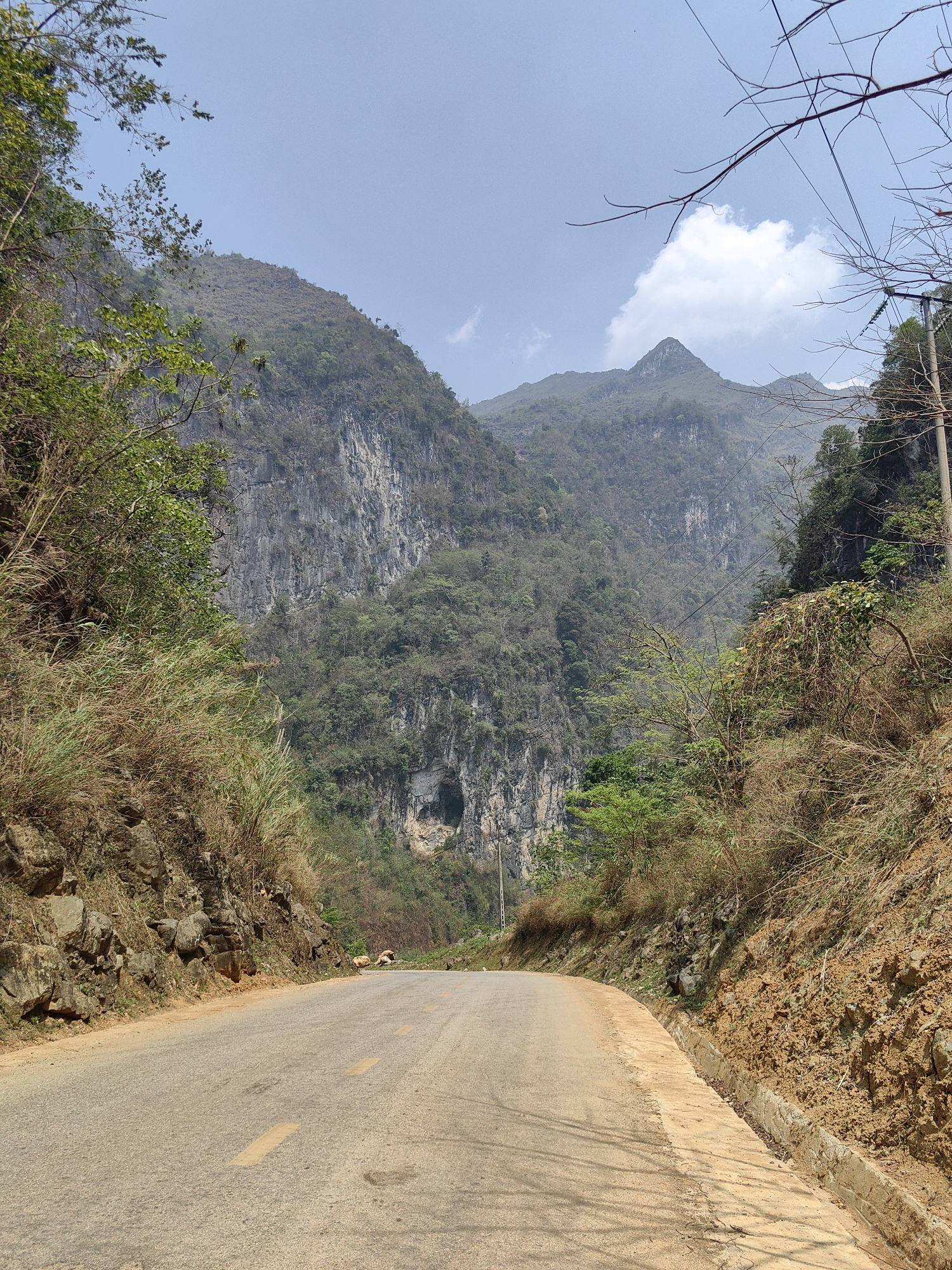 A low-angle shot shows an asphalt road winding through a mountainous region near Xã Khánh Xuân, Vietnam. The road stretches into the distance, flanked by steep, earthy slopes covered with dry vegetation. A drainage ditch lines the road’s edge.
In the background, a towering mountain range dominates the view. The mountain's face is composed of layered rock formations, partly covered with patches of greenery. A dark, cavernous opening is visible on the mountain's side.
The sky above is pale blue, with a few scattered white clouds. Bare tree branches extend into the frame. Electrical poles and lines are present near the edge of the road, but their details are indistinct.