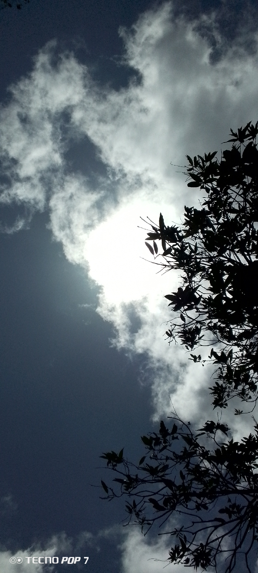 The image depicts a sky with scattered clouds, and the silhouette of tree branches and leaves in the foreground. The sunlight is shining through the clouds, creating a bright spot in the center of the image. The overall scene has a dark and slightly ominous tone due to the contrast between the bright sky and the dark foreground. "TECNO POP 7" is displayed at the bottom left of the image. There is no additional information available to confirm the location as Altagracia, Venezuela. There is no evidence of people.