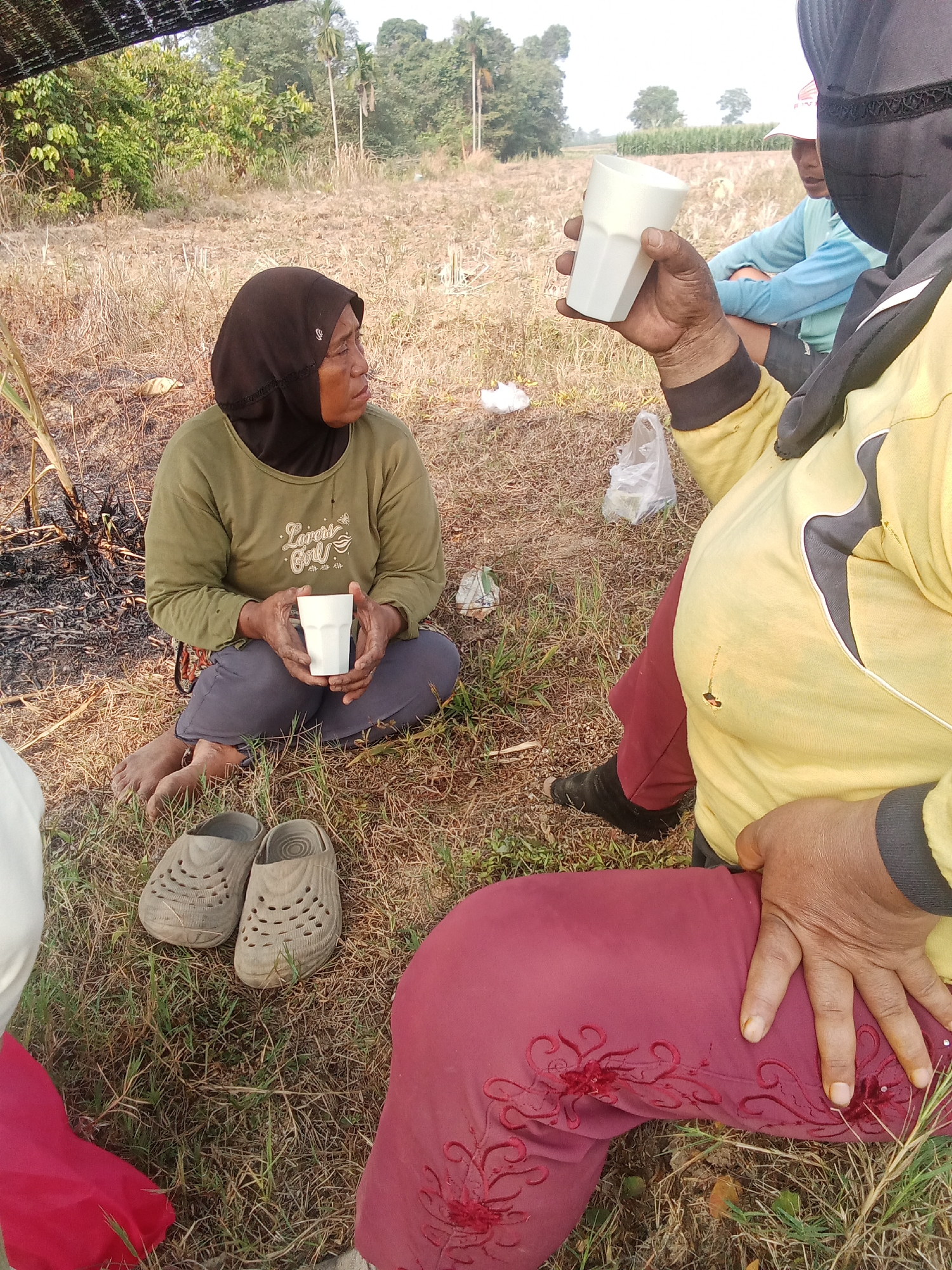 In a rural outdoor setting, likely a field or dry agricultural land, three individuals are present. The central figure, a woman wearing a dark headscarf and a green long-sleeved shirt, is seated on the ground. She holds a white cup in her hands. Her bare feet are visible, and a pair of grey slip-on shoes are placed nearby. To her left, some burnt vegetation is visible.
To the right of the central figure, another individual is partially visible, wearing a yellow long-sleeved shirt and a dark head covering. This person's hand is resting on their leg, which is covered by maroon pants adorned with red embroidery.
In the background, a third person, seen from the chest up, is wearing a light blue long-sleeved shirt and a pink cap. They are also seated. The environment consists of dry, brown grass and scattered vegetation, with trees visible in the distance under a clear sky. There is no indication of this location being within the city of Pekalongan, Indonesia; it appears to be a rural agricultural area.