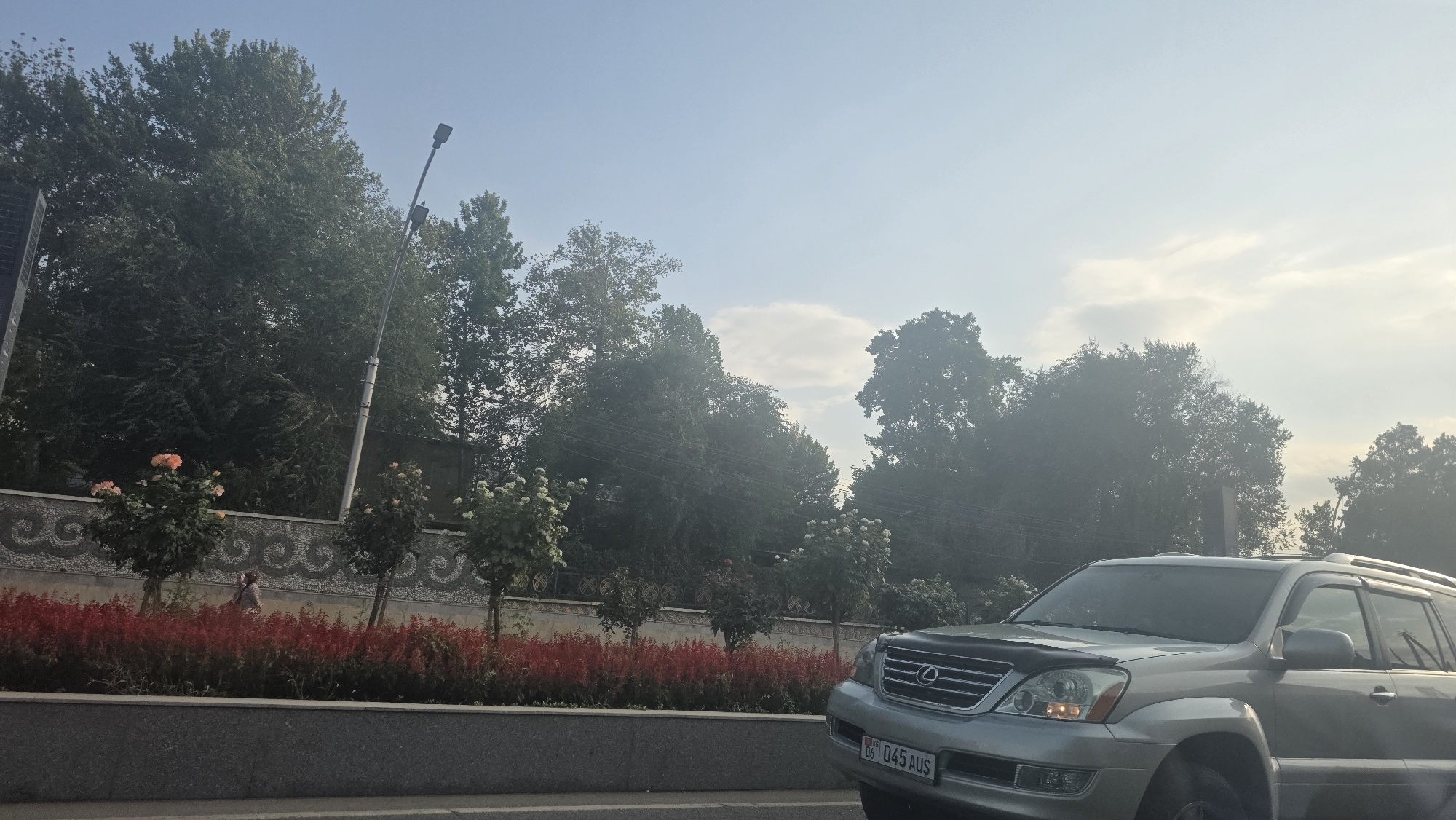 The image captures a view from a vehicle on a street in Osh City, Kyrgyzstan. In the foreground, a silver Lexus GX SUV is parked on the right side of the frame, its front grille and headlights visible. The license plate reads "KG 06 045 AUS". Beyond the vehicle, a decorative stone wall runs horizontally, adorned with a swirling mosaic pattern. In front of the wall, a vibrant band of red flowers creates a striking contrast against the greenery. Several rose bushes, some with pink and white blooms, are planted along the wall. A person in a light-colored garment is walking near the wall, partially obscured by the vegetation. A tall street lamp stands on the left side of the image. A dense line of trees with full foliage forms a backdrop, extending across the frame and framing the sky. The sky is a pale blue with scattered white clouds, and the overall lighting suggests it is either early morning or late afternoon. The scene is serene and urban, characterized by well-maintained landscaping along a city street.
