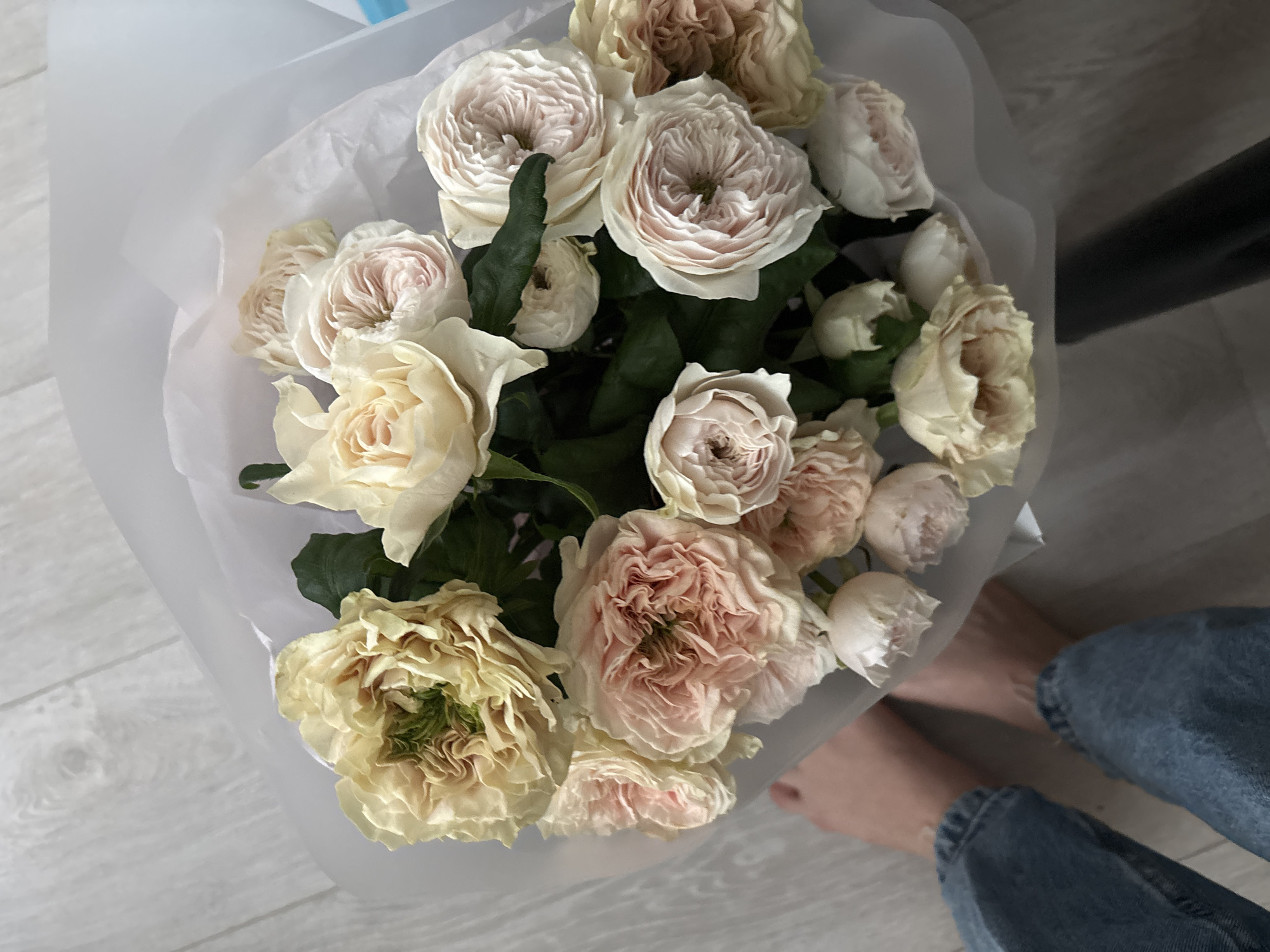 A close-up, overhead shot captures a bouquet of light-colored roses, predominantly shades of cream and blush pink, artfully arranged in white tissue paper. The roses exhibit a tightly packed, ruffled petal structure, with some blooms appearing more fully open than others, revealing hints of green at their centers. Dark green leaves are interspersed throughout the floral arrangement. In the lower left quadrant of the image, a pair of bare feet and the lower legs of a person wearing faded blue denim jeans are visible, suggesting they are standing or sitting on a light-colored wooden floor. The flooring exhibits a subtle grain pattern. The background consists of the same wooden floor and a plain white surface, likely part of the bouquet's wrapping or a nearby surface. There is no visible indication of the city of Сокол, Russia, within the image itself. The lighting appears soft and diffused, creating subtle shadows and highlighting the textures of the petals and the wood grain.