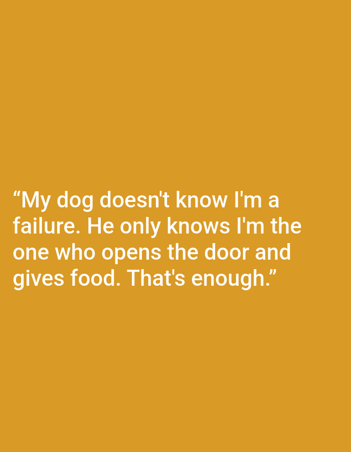 The image is a quote overlaid on a solid mustard-yellow background. The quote reads, "My dog doesn't know I'm a failure. He only knows I'm the one who opens the door and gives food. That's enough." There are no people, subjects, objects, actions, interactions, or environment depicted in the image, and therefore no specific location such as Kępno, Poland can be inferred.
