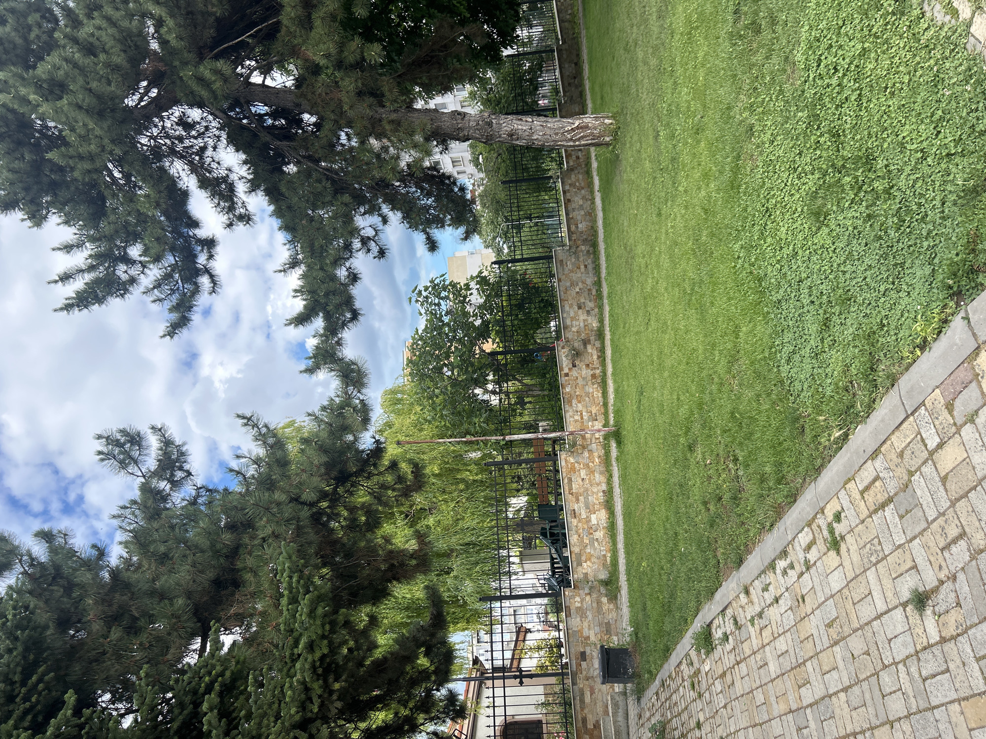A paved walkway made of light brown and beige rectangular stones runs along the left side of the image. The walkway is bordered by a strip of grass and then a larger expanse of green lawn. A low wall made of stacked, irregular beige and brown stones separates the lawn from an area behind it. A black trash receptacle stands next to the walkway. Behind the stone wall is a black metal fence. Through the fence, a building with a white facade, brown window frames, and a tiled roof is visible on the left. A weeping willow tree with light green foliage stands behind the fence, and several other green trees are also visible. In the background, to the right, are tall, multi-story buildings with white facades and visible windows. Two large pine trees dominate the foreground on the left and right, their branches and needles obscuring parts of the sky and the background. The sky above is blue with scattered white clouds. The image appears to have been taken in an urban park or residential area in Varna, Bulgaria.
