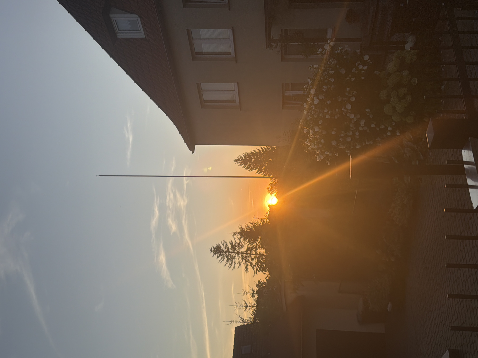 The image depicts a sunset scene in a residential area, likely in Szczecin, Poland, as indicated by the provided information. A tall, thin pole, possibly an antenna or flagpole, stands vertically in the center of the frame, extending towards the sky. To the right, a multi-story building with a red-tiled roof is partially visible, featuring several windows. In the foreground, to the right, a dense bush with numerous white flowers and some green foliage is prominent. The sunset casts a warm, orange glow across the entire scene, with strong sun rays emanating from behind a line of trees silhouetted against the sky. These trees, varying in height and density, occupy the middle ground. A portion of a paved driveway or courtyard is visible in the lower part of the image, leading towards a building with a dark door on the left. The sky is a gradient of pale blue at the top, transitioning to a bright orange where the sun is setting. Wispy clouds are scattered across the sky, catching the sunset light. The overall impression is one of a peaceful evening in a suburban or residential setting.