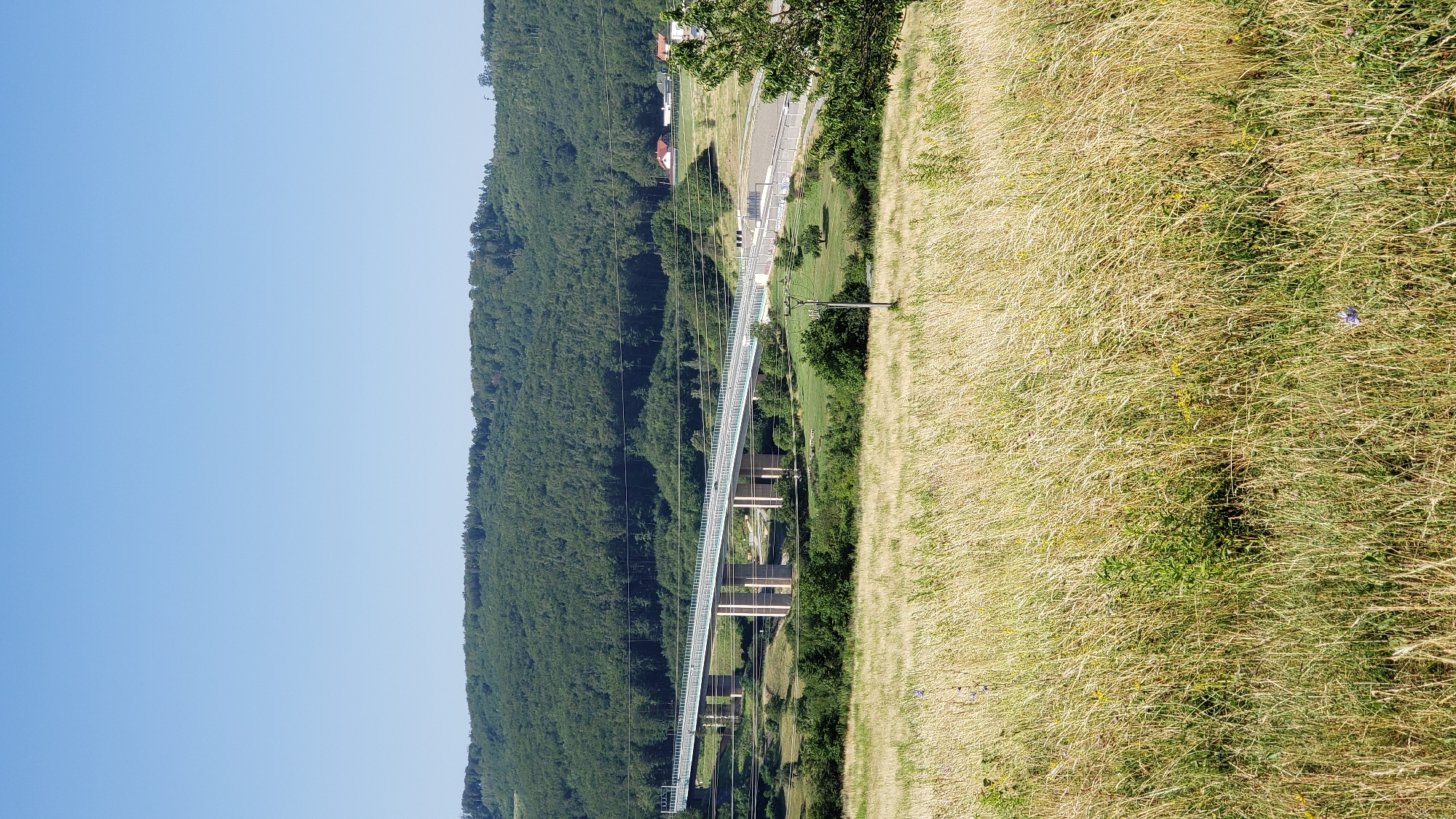 The image depicts a modern concrete and steel viaduct, designed for vehicular traffic, spanning across a natural landscape. The viaduct is elevated on numerous thick concrete pillars, with a light-colored road surface and guardrails. In the foreground, a field of dry, tall grass with scattered wildflowers dominates the lower portion of the frame. Behind the viaduct, a dense, rolling forest covers the hillside, reaching towards a clear blue sky. A few scattered houses and buildings are visible in the distance on the right side of the frame, nestled among trees. A utility pole with wires stands in the middle ground. The scene is bathed in bright sunlight, suggesting a clear day. The specific location in Prešov, Slovakia, is the D1 highway Viaduct Zlatá Idka, part of the highway network in the region.
