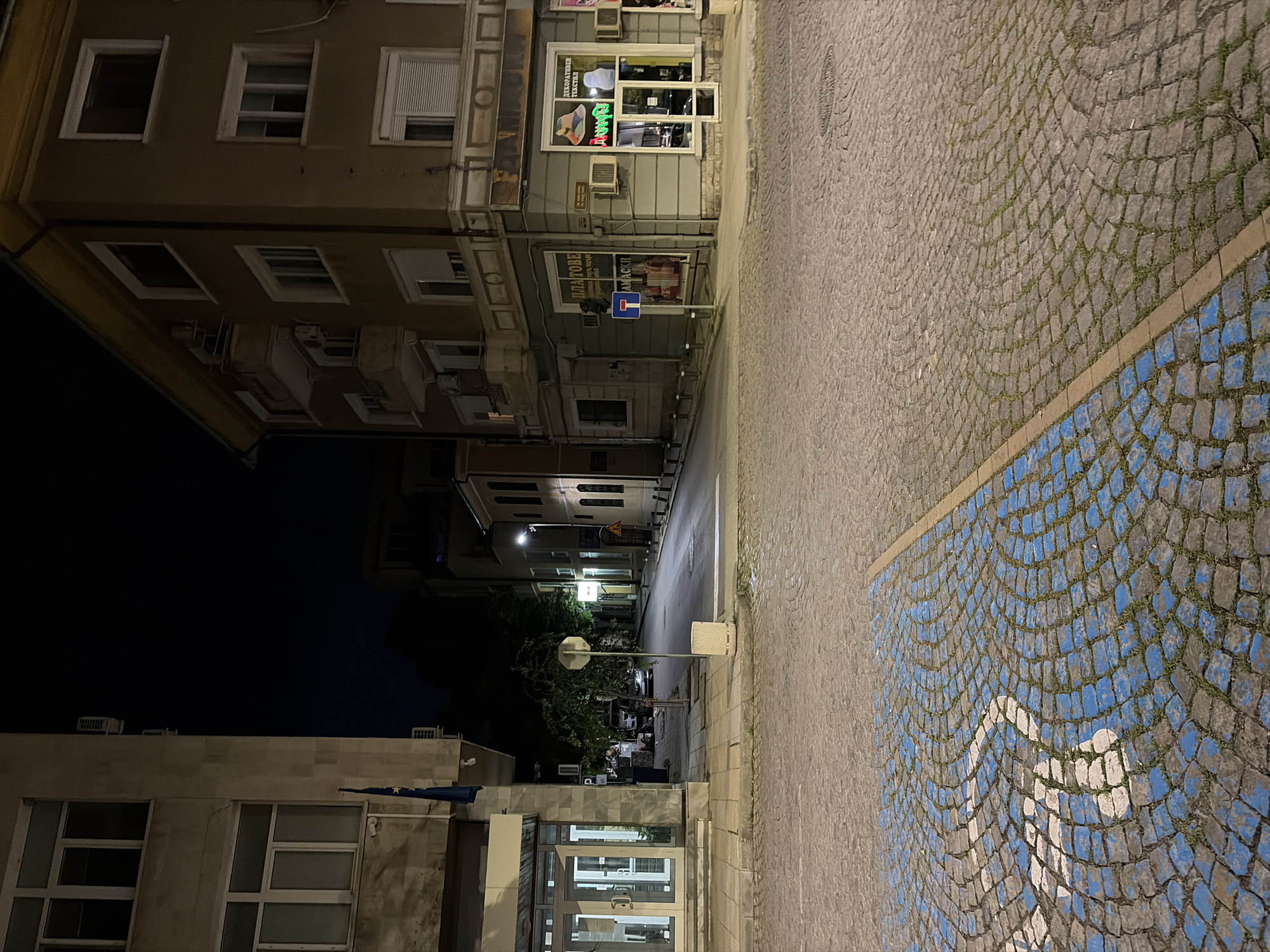 The image shows a street scene at night in Stara Zagora, Bulgaria. In the foreground, a cobblestone road is marked with blue and white paint, indicating a parking space, possibly for disabled persons. To the left is a light-colored building with multiple windows and air conditioning units. A dark blue flag with stars is attached to the side of this building. To the right, a multi-story building with a brown facade dominates the scene. This building has several windows, balconies, and air conditioning units. On the ground floor, there are shopfronts with illuminated signs and displays, one of which has a hat in the window. The street stretches into the distance, lined with more buildings, streetlights, and trees. A few cars are parked along the street. The overall impression is of a quiet, urban street at night.