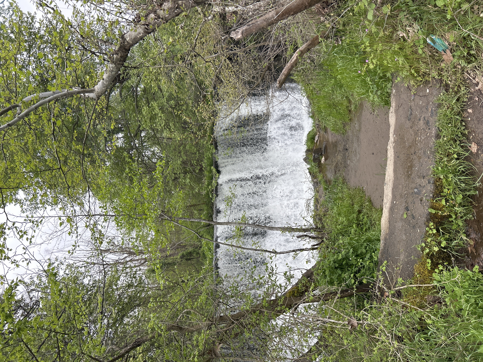 The image captures a waterfall in Parvenets, Bulgaria. The waterfall is the focal point, cascading down a tiered stone structure, surrounded by dense foliage of trees and grass. A concrete path borders the right side of the waterfall. Bare tree branches are visible in the foreground. The sky is overcast. There are no people or identifiable subjects. A piece of garbage can be seen in the grass on the right.
