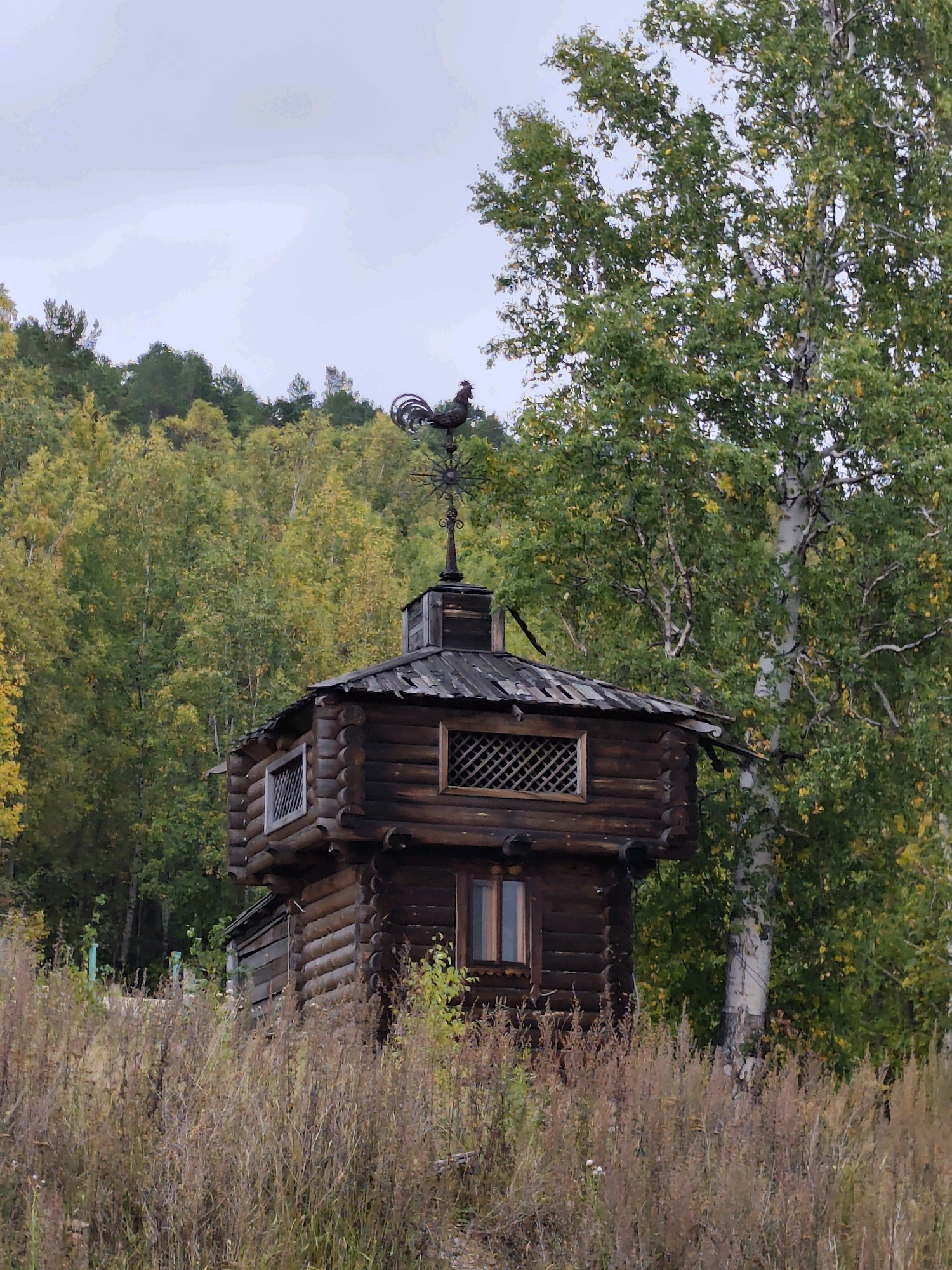 A wooden, rustic building, resembling a small tower or watchtower, stands prominently in the foreground. The structure is constructed from dark, weathered logs and features several windows with lattice work. A weather vane, in the shape of a rooster, crowns the roof. The building is surrounded by tall, dry grasses and wildflowers. Behind the building, a dense forest of trees, some with autumnal yellow foliage, stretches towards a cloudy sky. A tall, slender birch tree with a white trunk stands to the right of the building. The scene suggests a rural or semi-rural setting, possibly on the outskirts of a town or village.