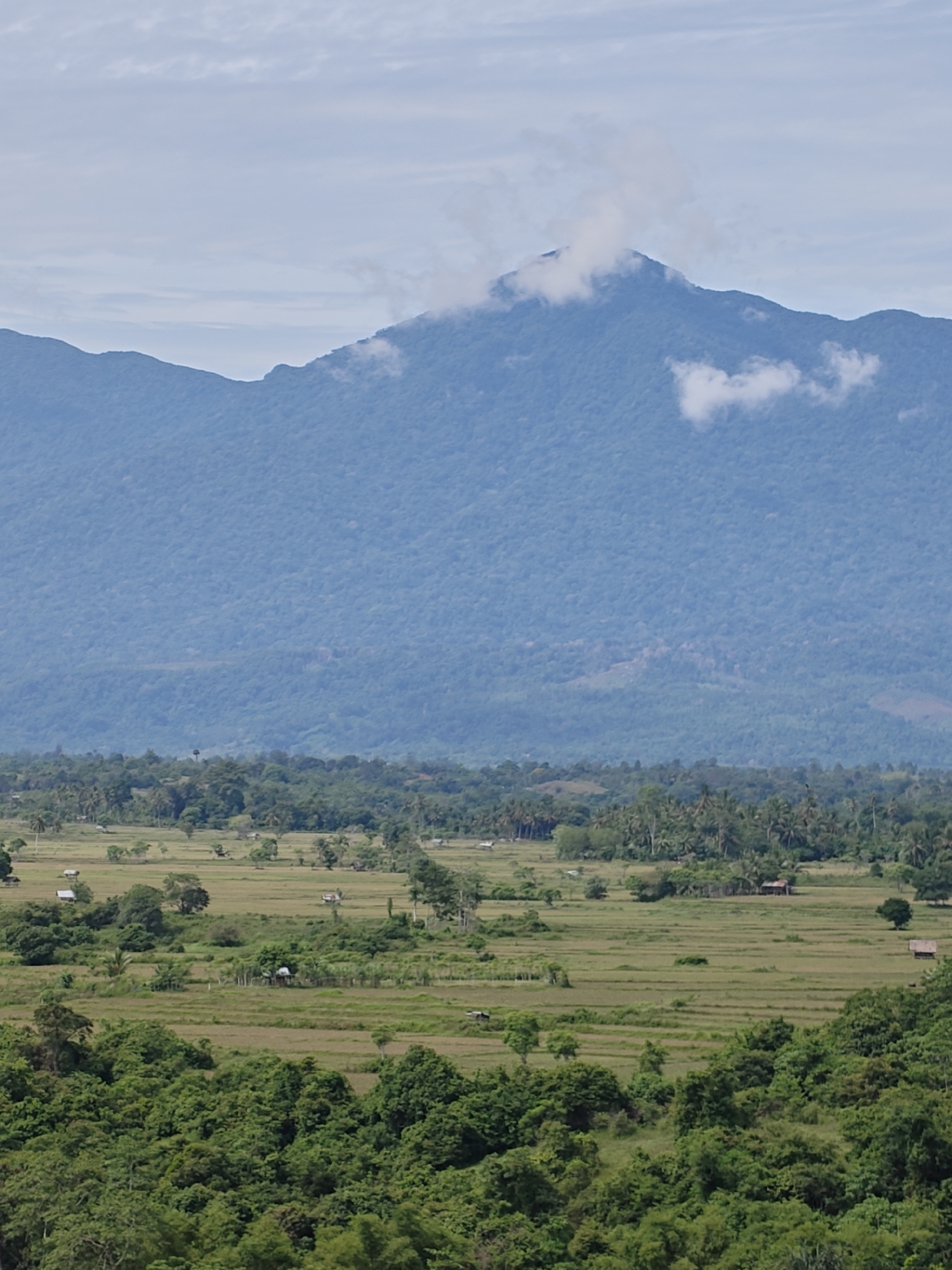 The image depicts a landscape in Lambarotunong, Indonesia. In the background, a large, forested mountain rises, partially obscured by clouds at its peak. The middle ground is composed of rice paddies interspersed with clusters of trees, including palm trees, and small, simple structures that appear to be dwellings or shelters. The foreground is filled with dense, green trees. The overall scene suggests a rural, agricultural setting.