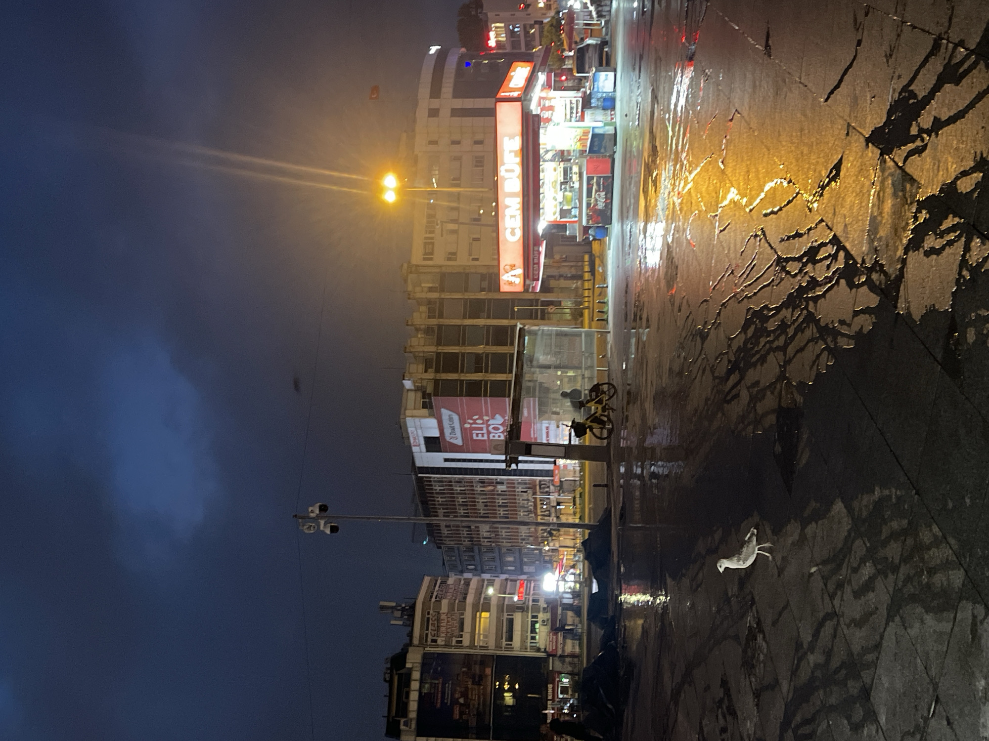 The image captures a wet, tiled street in Kadıköy, Turkey, at night. The ground is slick with reflections of streetlights and illuminated signs. In the foreground, a seagull stands on the wet pavement. Further back, a yellow bicycle with two figures on it is parked near a bus stop shelter. Across the street, a bright orange sign reads "CEM BUFE," indicating a food establishment. Various buildings with illuminated windows and advertisements line the background. The sky is dark and overcast, with a streetlight casting a bright, diffused glow.