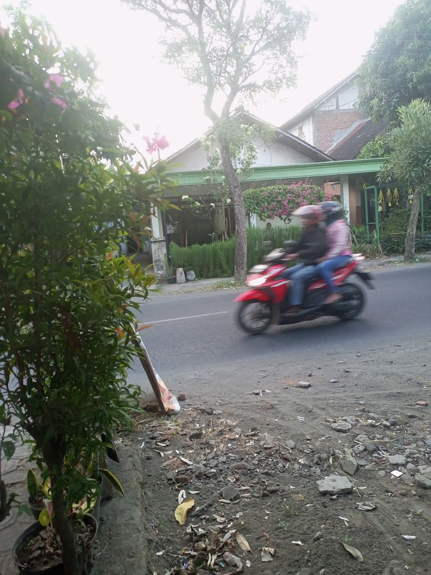 This is a medium-shot, vertical, full-color photograph of a street scene in the city of Kediri, Indonesia. The image captures a red motorcycle with two individuals riding it, appearing in motion due to motion blur. The rider in the front is wearing a helmet and a dark jacket, while the passenger behind wears a helmet and a pink and white striped shirt. They are traveling on a paved road, with the motorcycle's front headlight illuminated. To the left of the road, there is a lush green plant with pink flowers in pots. Behind the motorcycle, a building with a white facade, a green trim, and a tiled roof is visible. The building is partially obscured by trees and foliage. The ground on the right side of the road is rough and dusty, with scattered rocks and fallen leaves. The sky is bright, suggesting daylight. The overall impression is a snapshot of everyday life on a street in Kediri.