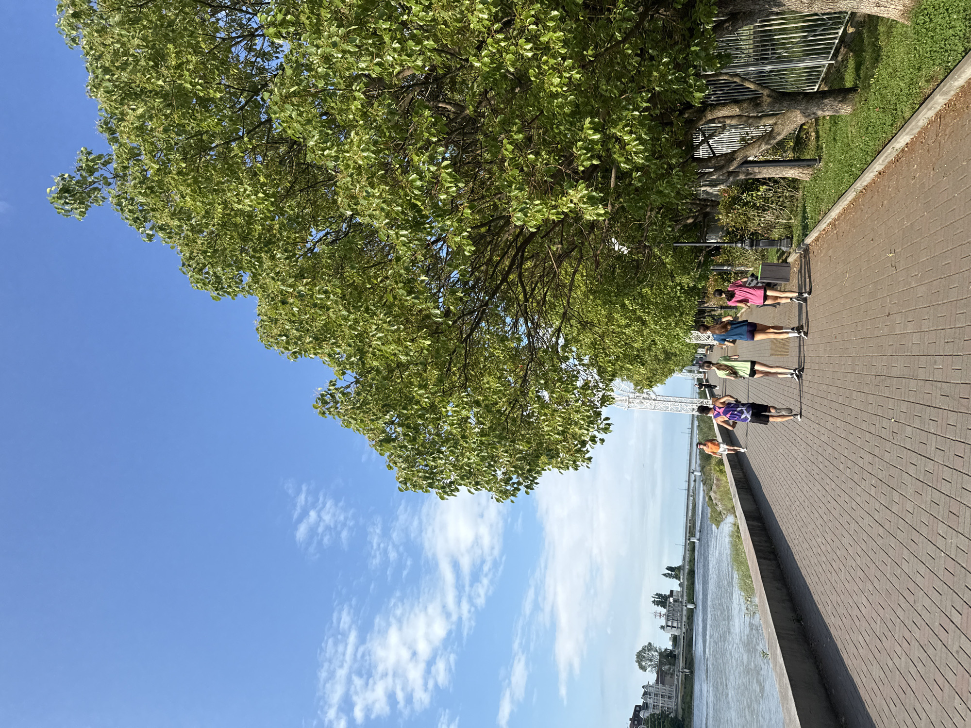 In Sochi, Russia, four individuals are seen running along a paved waterfront promenade. The promenade is constructed of brick-patterned pavers and is bordered by a concrete wall on the left, separating it from a wide river. Lush green trees with dense foliage line the right side of the promenade, casting shadows on the path. Beyond the river, a bridge spans the water, with buildings and distant trees visible on the other side. The sky is a vibrant blue with scattered white clouds. One runner in the foreground wears a purple and black tank top and black shorts, another wears a green tank top and black shorts. The third runner has on a blue tank top and dark shorts, and the fourth is wearing a pink tank top and dark shorts. Another person in an orange shirt is visible further down the promenade. The scene captures a sunny day with a focus on outdoor recreation.