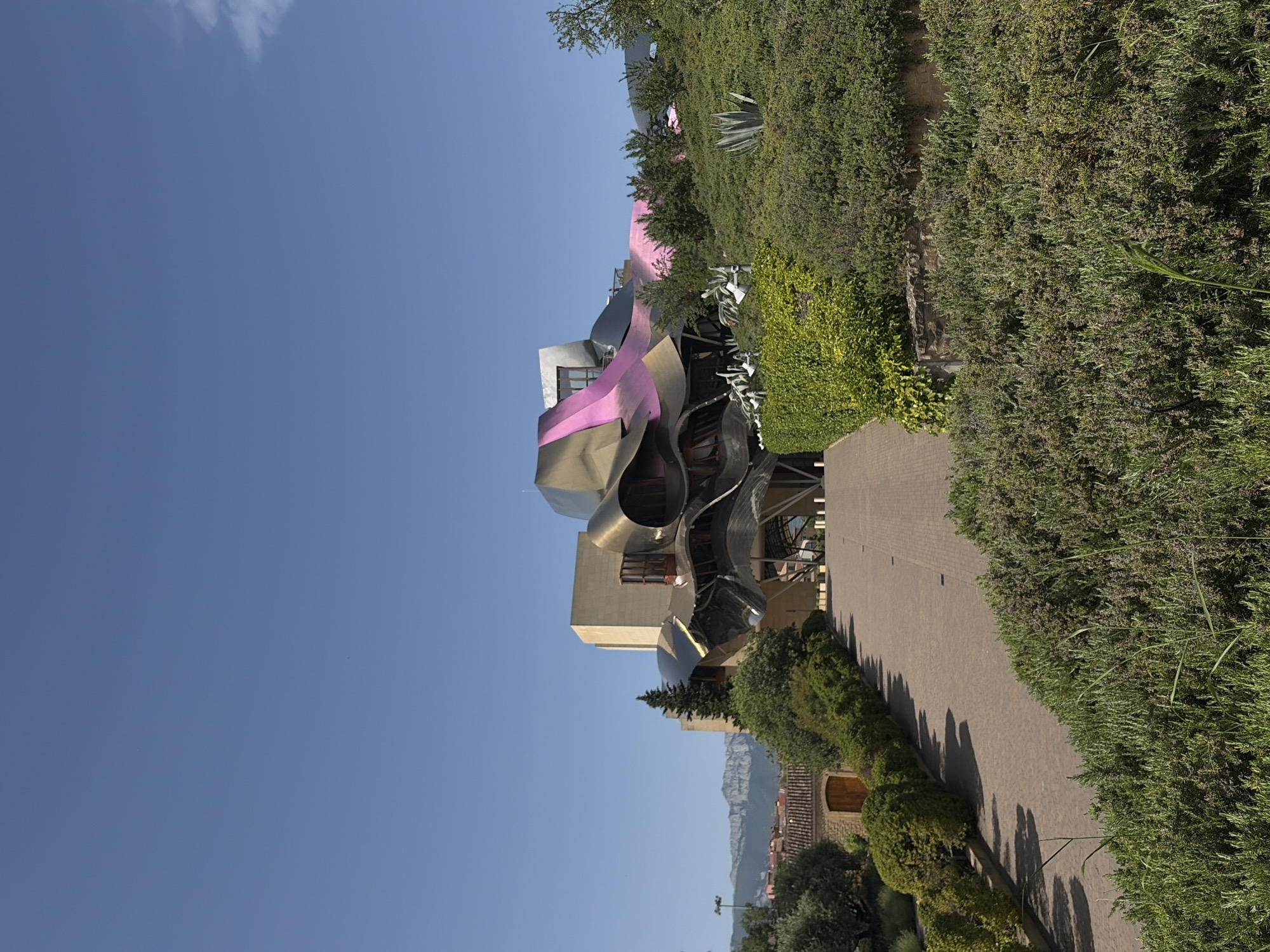The image captures the Marques de Riscal winery hotel, a distinctive architectural creation by Frank Gehry, located in Elciego, Spain. The hotel is notable for its undulating, metallic, and brightly colored titanium panels in shades of gold, silver, and pink. The structure juxtaposes with a more traditional building adjacent to it. A paved walkway leads towards the hotel, bordered by manicured green hedges and bushes. In the distance, a mountainous landscape is visible, contributing to the overall setting. The sky is clear and blue.