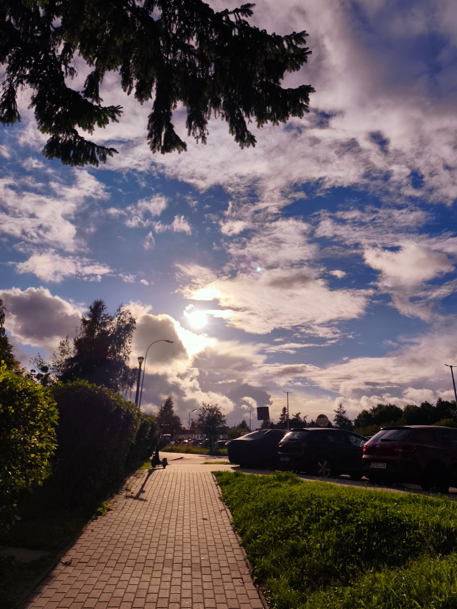 The image captures a view of a walkway with a cobblestone path in the city of Gdańsk, Poland. The walkway is bordered by a neatly trimmed green hedge on the left and a grassy area on the right. Several parked cars are visible on the right side of the walkway, including a red SUV with a license plate reading "GD 2CL56". A black scooter stands on the walkway casting a long shadow. In the background, there are trees and a streetlamp. The sky is filled with dramatic clouds and the sun is visible, creating a bright and somewhat hazy effect. A branch of a dark green fir tree hangs from the top of the frame, partially obscuring the sky.