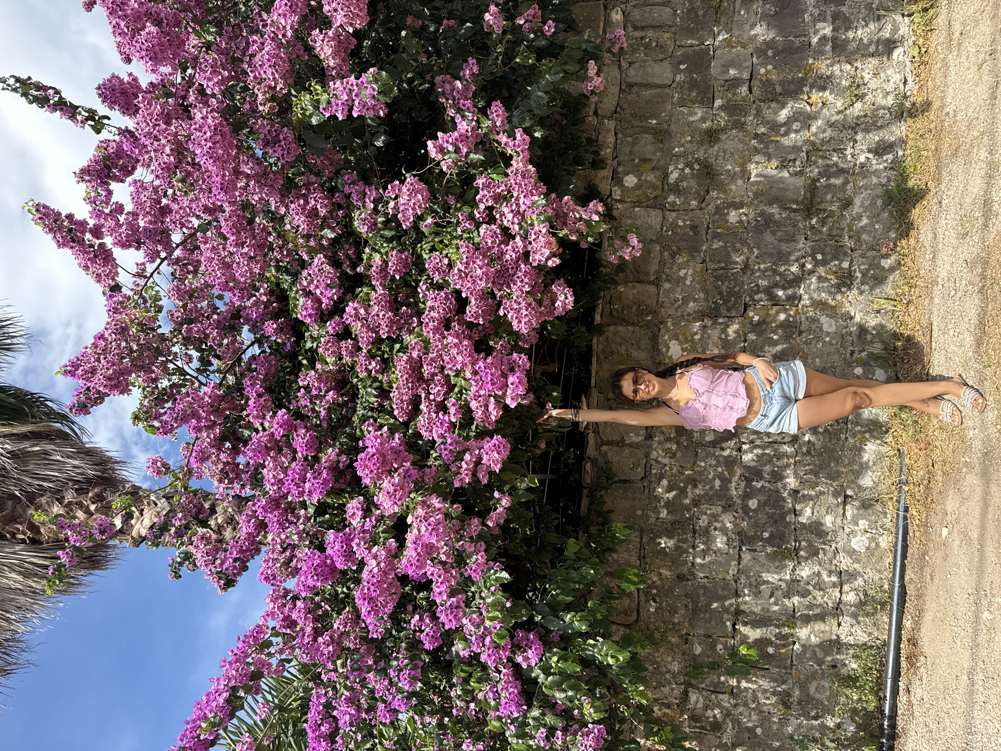 A woman stands in front of a stone wall covered in bright pink bougainvillea flowers. She is wearing a pink ruffled crop top, denim shorts, sunglasses, and sandals. Her right arm is raised, and her hand is near the flowers. A palm tree is visible in the upper left corner of the image. The sky is blue with some white clouds. The ground in front of the wall is dirt and gravel, with some dry grass.
