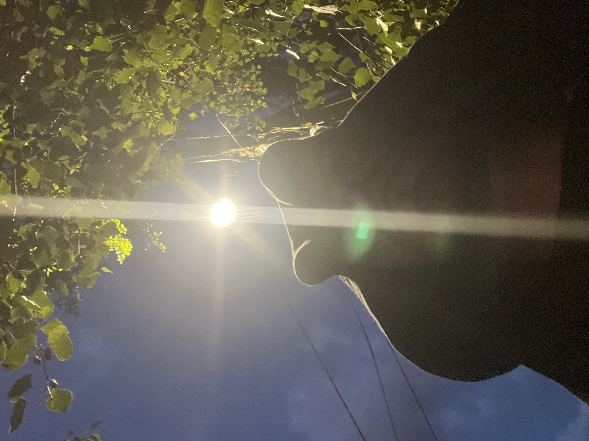An individual wearing dark clothing is silhouetted against a bright street lamp at night. The light source is positioned centrally, casting a strong glow and creating lens flares. Lush green foliage from an overhead tree is visible, illuminated by the lamp. The sky behind is a deep blue, suggesting twilight or nighttime. Electrical wires are stretched across the background. The perspective is low-angle, looking up at the lamp and tree. The scene appears to be outdoors in an urban or suburban environment. No specific landmarks or indicators of Sofia, Bulgaria are present in the image.