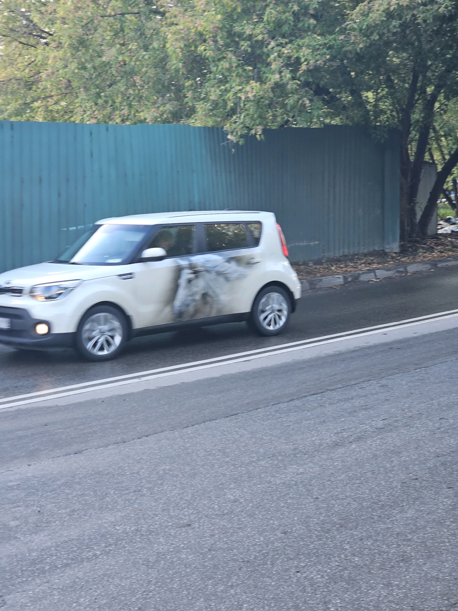 A white Kia Soul is driving on a road. The car has a graphic of a horse on its side. The car is in motion, as indicated by the blurred wheels. The background consists of a turquoise metal fence, trees, and a sidewalk. The scene appears to be in an urban or suburban environment.