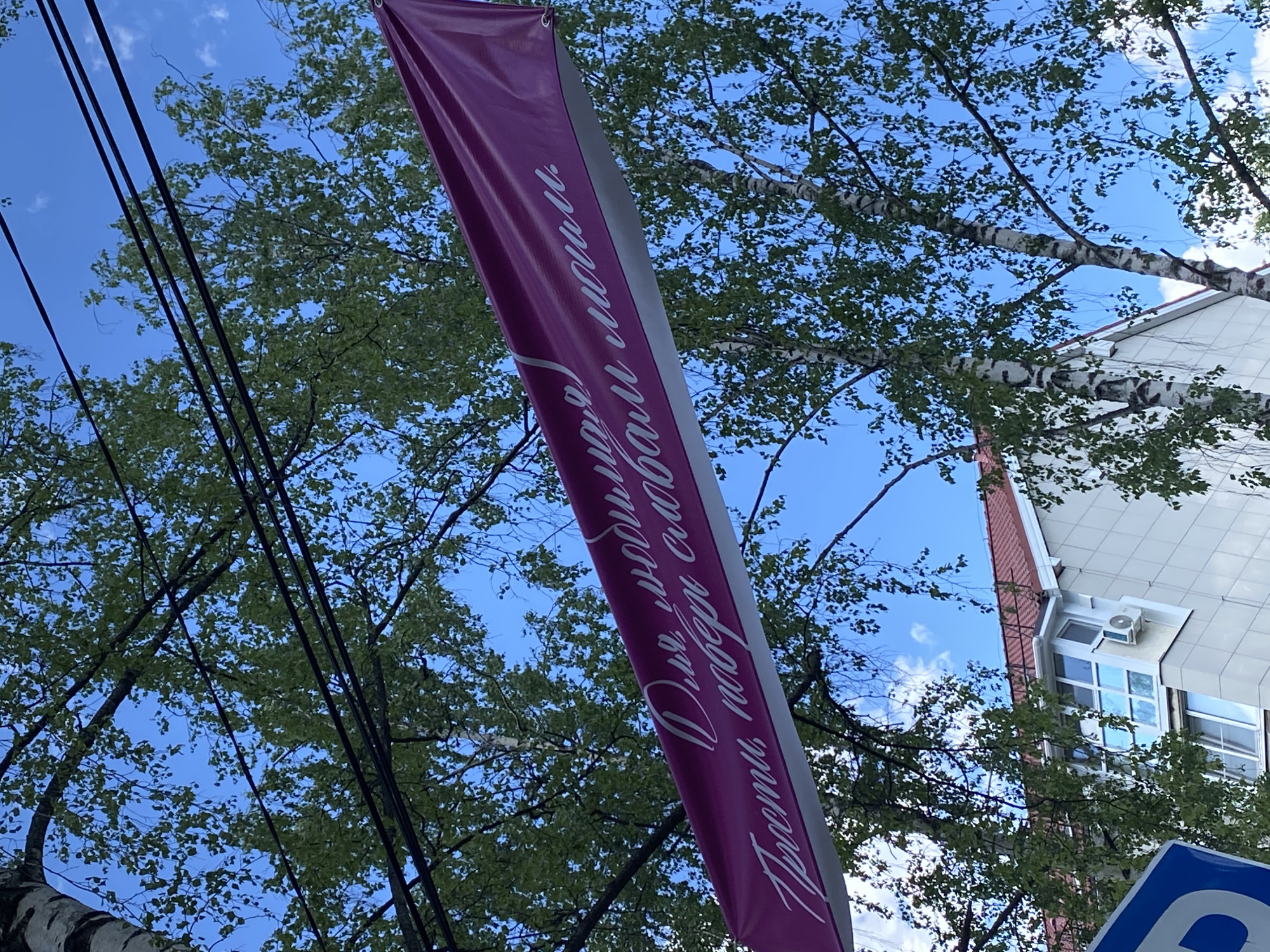 A low-angle shot captures a street scene in Chaikovsky, Russia. A vertical banner in shades of purple and grey dominates the view, displaying white cursive script in the Russian language. Trees with green foliage are scattered around, partially obscuring a blue sky dotted with scattered clouds. Electrical wires crisscross the upper left of the frame.
To the right, a corner of a building is visible, featuring a white facade and windows. A blue parking sign is partially visible in the lower right corner. The banner message appears to read "Прости, любим, наши мечты."