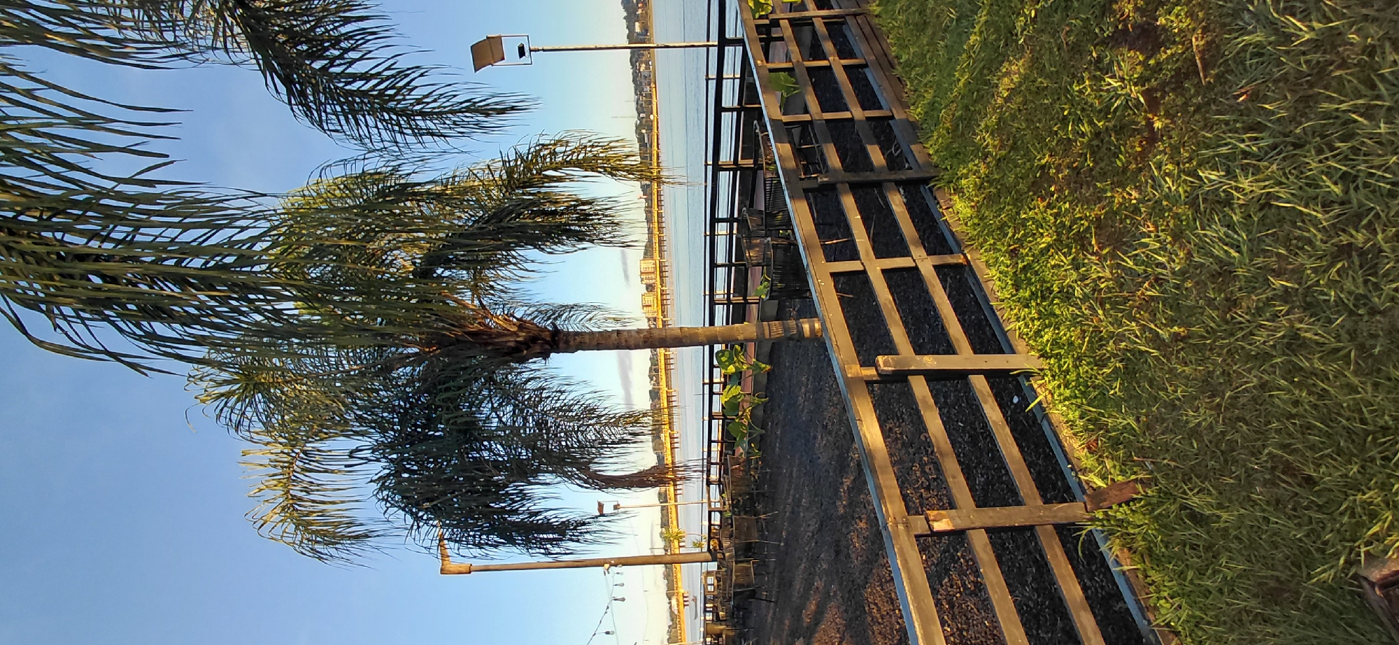 The image depicts a waterfront scene in Encarnación, Paraguay, likely during the late afternoon or early morning due to the golden light casting long shadows. In the foreground, a dark wooden fence with horizontal slats separates a grassy area from a patio area. The patio is covered with dark gravel and features several black metal tables and chairs, suggesting an outdoor dining or seating space.
A prominent palm tree stands in the middle ground, its fronds reaching towards a clear blue sky. To the left of the palm tree, a tall lamppost with a light fixture is visible, and further to the left, string lights are hung, adding to the ambiance. Another lamppost with a solar panel sits to the right of the palm tree.
Beyond the patio, a calm body of water stretches across the frame, bordered by a wooden railing. In the distance, a long yellow bridge with multiple spans crosses the water, connecting to a cityscape on the far bank. The city skyline is marked by buildings and trees. A small boat is visible on the water in the far left of the image. The overall atmosphere is serene and inviting, typical of a leisure area by the water.