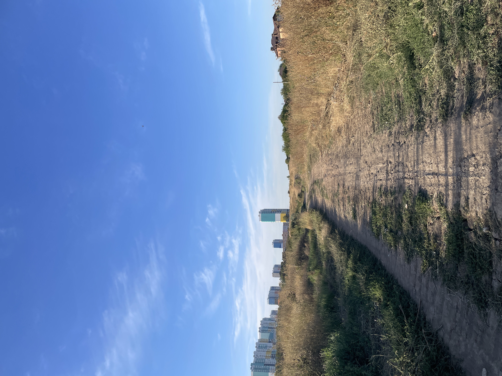 An outdoor, vertical, eye-level, full shot shows a dirt path leading toward a cluster of buildings in the distance, under a bright, partially cloudy blue sky. The path is worn, with visible tire tracks and small patches of green grass growing on its edges. The surrounding vegetation is predominantly dry, tall grass, with some areas of greener grass closer to the path.
On the left side of the image, in the middle distance, a row of apartment buildings is visible. These buildings are multicolored, with shades of blue, green, white, and yellow. One taller, slender building with a green and yellow facade stands out amongst them.
Further to the right, in the background, a residential house with a red-tiled roof and a brown facade is partially visible, nestled among trees.
A faint, dark speck, possibly a bird or a drone, is visible in the upper center of the sky. The lighting suggests it is daytime, likely late afternoon due to the long shadows cast by the grass on the path. The scene depicts a transition area between a rural or undeveloped landscape and an urban environment, possibly on the outskirts of Rostov-on-Don, Russia.