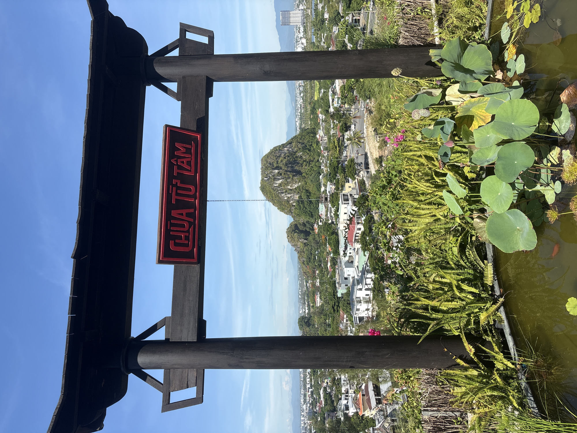 The image captures a scenic view of the city of Da Nang, Vietnam, framed by a dark wooden archway, likely a gate to a temple or a viewpoint. A red sign with Vietnamese text, "CHÙA TỰ TÂM," hangs from the arch. In the foreground, a pond is filled with lotus plants and lily pads, with glimpses of small red fish beneath the surface. Lush green ferns and other foliage surround the pond. Beyond the pond, the city unfolds with a mix of residential buildings, some with red tile roofs, interspersed with greenery. A distinctive, large, rounded, and heavily vegetated mountain stands prominently in the middle ground, a notable landmark in Da Nang. In the distance, more of the city extends towards the horizon, with hints of mountains and the sky. The sky is a clear, bright blue with a few wispy clouds.