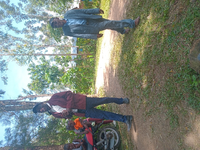 Memory