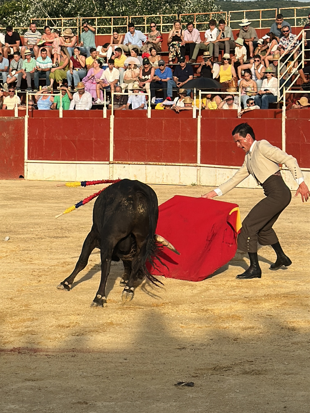 The image depicts a bullfight in San José del Valle, Spain. A bullfighter, dressed in a light-colored jacket and dark trousers, faces a black bull with banderillas in its back. The bullfighter holds a red cape. Spectators watch from stands behind a red wall. The arena is sandy.