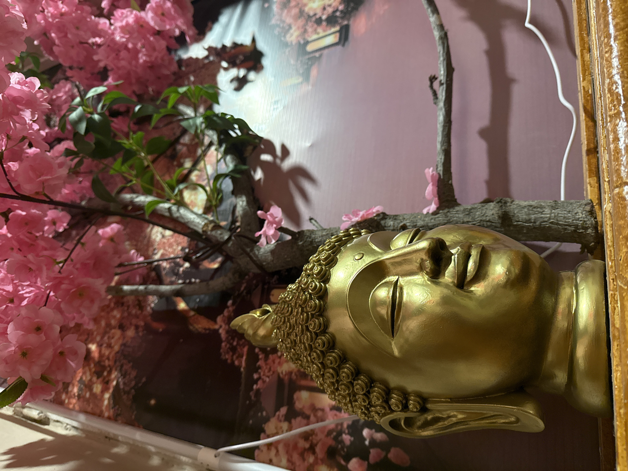 A golden Buddha head statue lies on its side next to a branch with pink cherry blossoms. The setting is in Tashkent, Uzbekistan. A patterned background in red and brown tones can be seen. The right side of the image features a wooden frame.