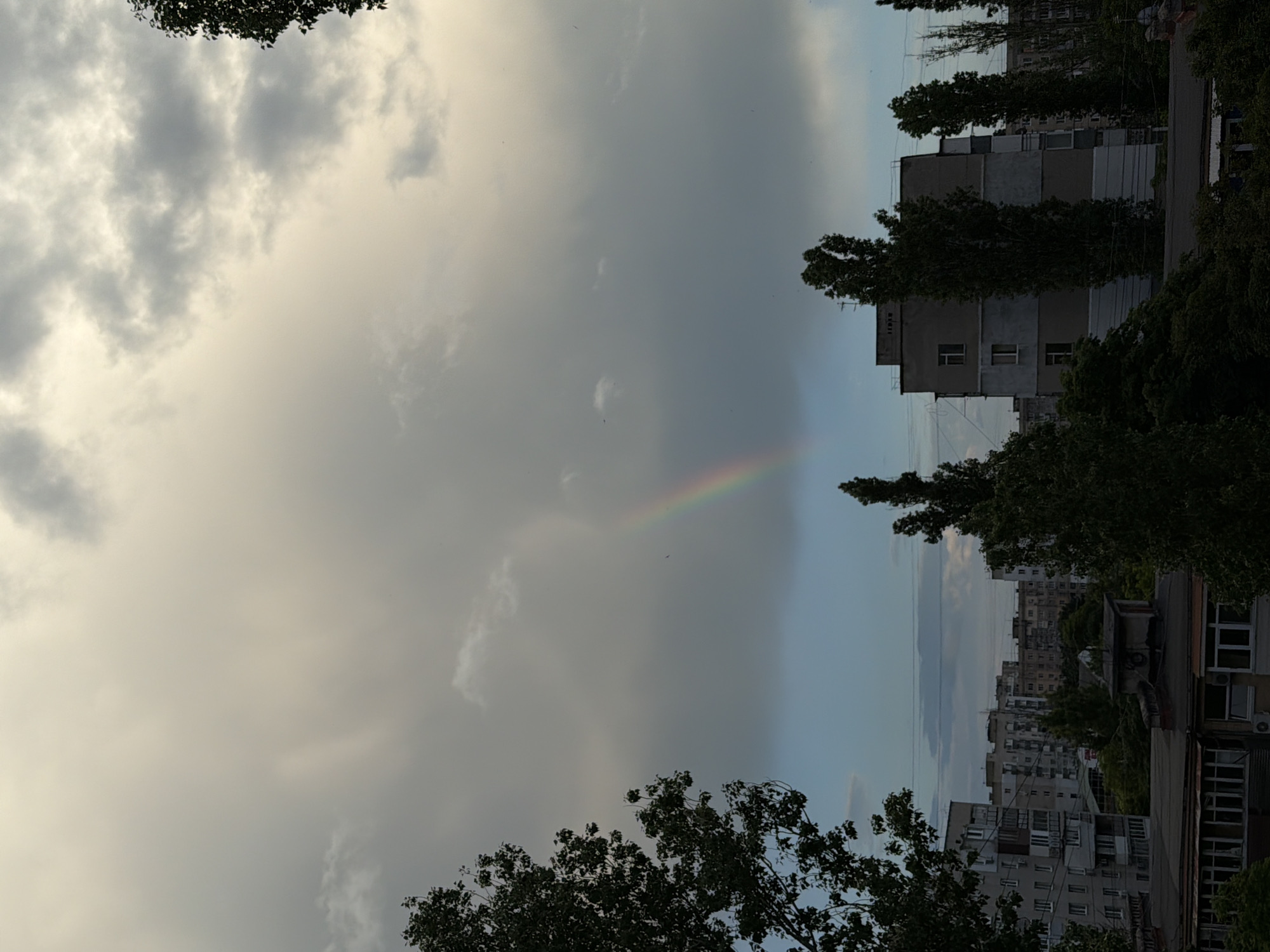 The image captures an urban landscape under an overcast sky, with a partial rainbow arcing through the clouds in the mid-left portion of the frame. The sky transitions from light grey and heavily clouded at the top to a muted blue near the horizon line. Dense, dark green foliage from various trees dominates the foreground and flanks the scene on the left and right, partially obscuring the lower structures. In the mid-ground, multiple multi-story apartment buildings, characterized by their blocky, grey and light-colored facades, windows, and balconies, extend across the scene. Some building roofs and associated utility structures are visible. No human activity or individuals are discernible. The scene is located in the city of Unknown, Unknown.