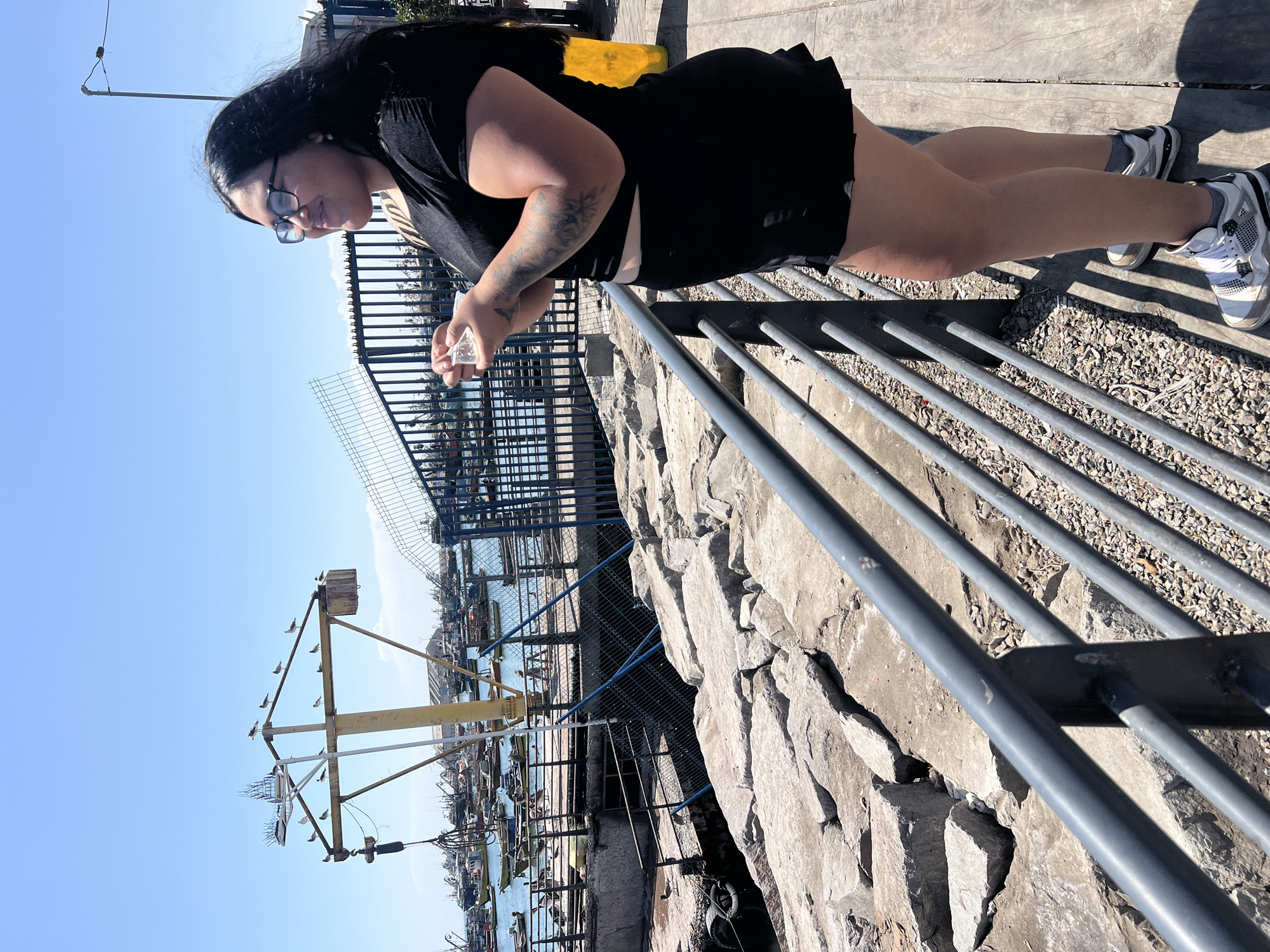 Arica, Chile. A woman wearing glasses, a black shirt, black shorts, and white and gray sneakers stands on a stone embankment near a harbor. The embankment has gray metal railings. The woman holds a small clear container in her left hand. The harbor below contains numerous boats. A tall metal structure with several crossbeams is visible, upon which numerous gulls are perched. A fence made of metal mesh runs along the edge of the embankment. The sky is clear and blue.