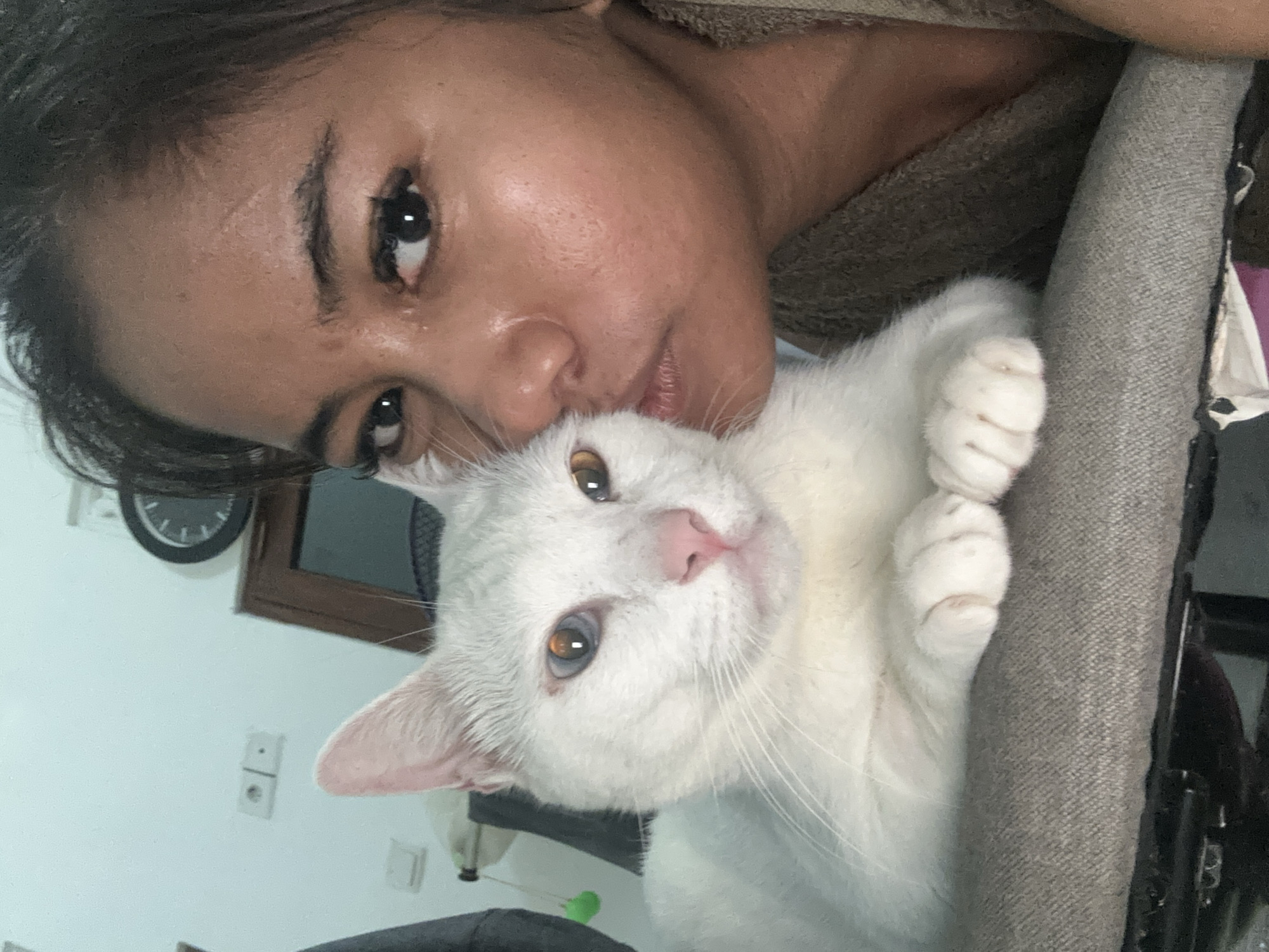 In an indoor setting in Sukawati, Indonesia, a close-up, slightly tilted selfie shows a young woman with dark hair and tanned skin resting her cheek next to a white cat. The cat has heterochromia, with one blue eye and one amber eye. Its pink nose and whiskers are visible. The woman has her eyes open, looking towards the camera. The background is out of focus, but hints of a wall with electrical outlets, a framed picture or mirror, and possibly a clock are discernible. The woman is wearing a brown fuzzy garment. The cat is resting its paws on a textured grey surface, likely a chair or sofa.