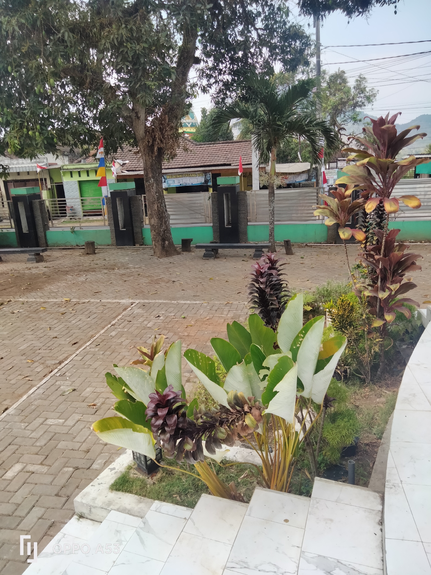 The image depicts an outdoor scene in the city of Karangan, Indonesia, possibly a public space or school grounds. In the foreground, a white marble staircase leads up to a garden area with lush green plants, including a large plant with broad, white-green leaves and reddish-purple foliage. Behind the garden, a paved courtyard with a herringbone brick pattern is visible, interspersed with fallen leaves.
Further back, a large tree with dense foliage stands prominently. Beyond the tree, a building with a tiled roof and green accents is present, along with some signage and Indonesian flags in red and white. A palm tree and more ornamental plants are also visible. In the background, hints of mountains can be seen under a hazy sky. The overall impression is one of a well-maintained outdoor area, likely in a tropical climate.