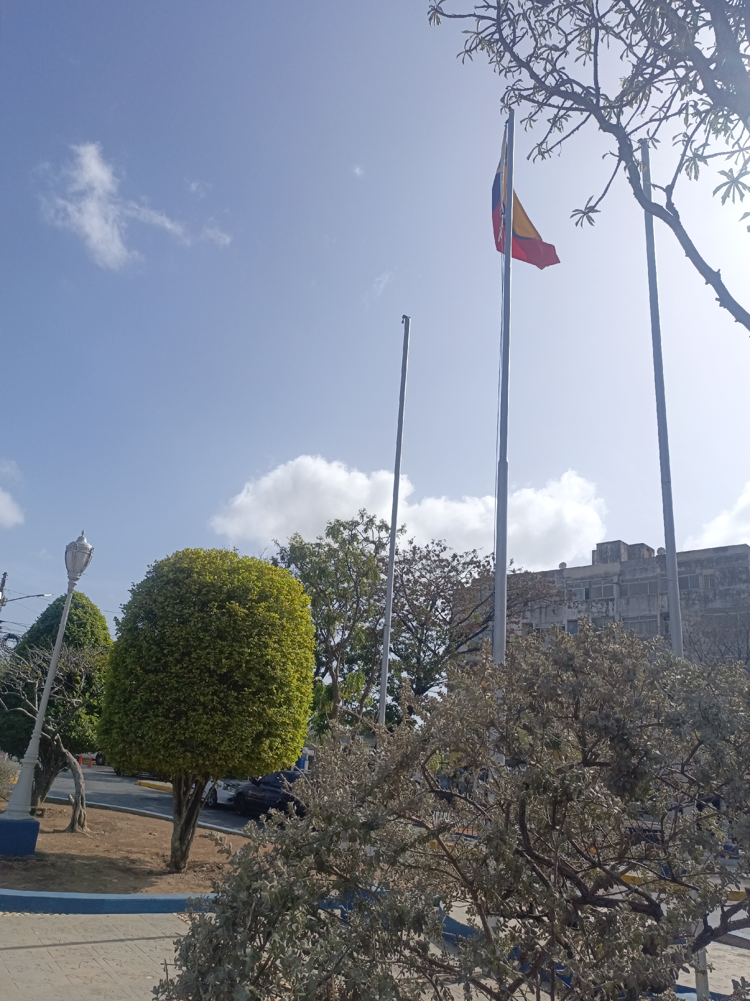 The image depicts a park scene in Juan Griego, Venezuela on a sunny day with a clear blue sky and scattered white clouds. Three flagpoles stand prominently in the center of the frame, one displaying the Venezuelan flag in the colors yellow, blue, and red. Various trees and shrubbery surround the flagpoles, including rounded green trees, bare branches of other trees, and a bush in the foreground with small leaves. Behind the greenery is an older, multi-story building in a state of disrepair. The ground is paved with gray stones, bordered by a low blue wall. Street lamps are visible on the left of the image. Cars are parked in the street behind the trees.
