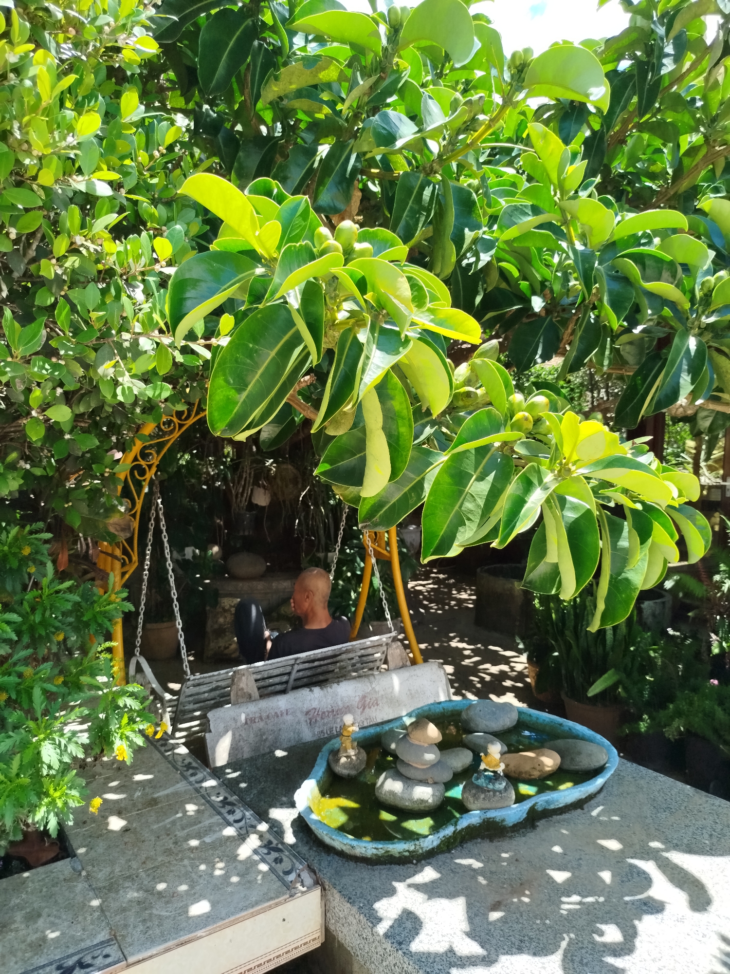 A man is sitting on a swing underneath a tree in a garden. The swing is painted white and hangs from a yellow frame. A small, blue-painted pond with stones and figurines sits in the foreground. The location is in Da Lat, Vietnam.