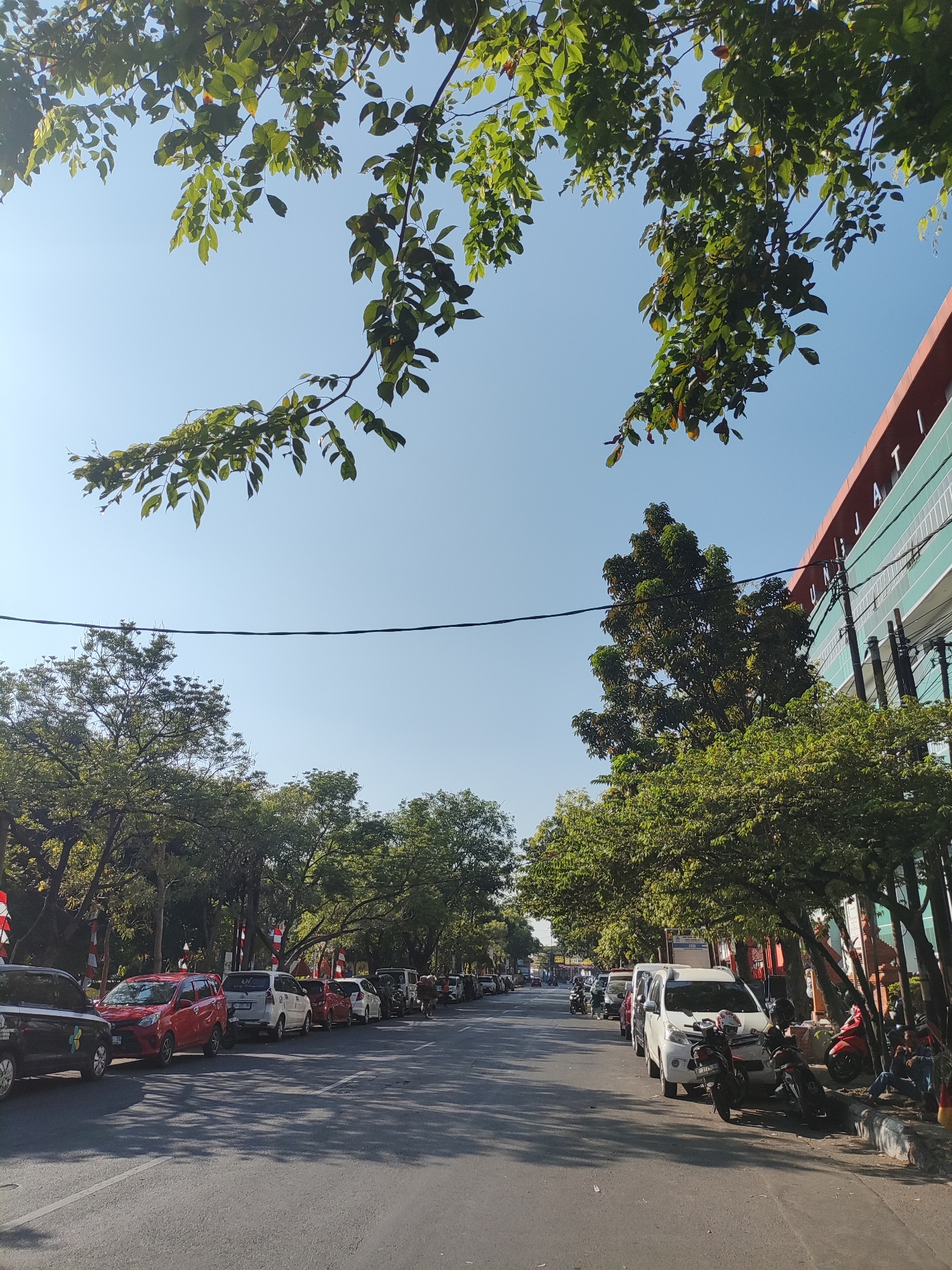 The image depicts a street scene in Cirebon, Indonesia, under a clear blue sky. Green foliage from trees overhangs the street from both sides, casting shadows on the asphalt. A row of parked cars, including a black SUV, a red hatchback, and several white vehicles, lines the left side of the road. On the right side, a white van is parked, accompanied by several motorcycles. A building with green and red accents, featuring the text "UNJATI" in large white letters, stands on the right. A few individuals are visible near the parked motorcycles on the right side of the street, some sitting on the curb. Electrical wires stretch across the upper portion of the frame.