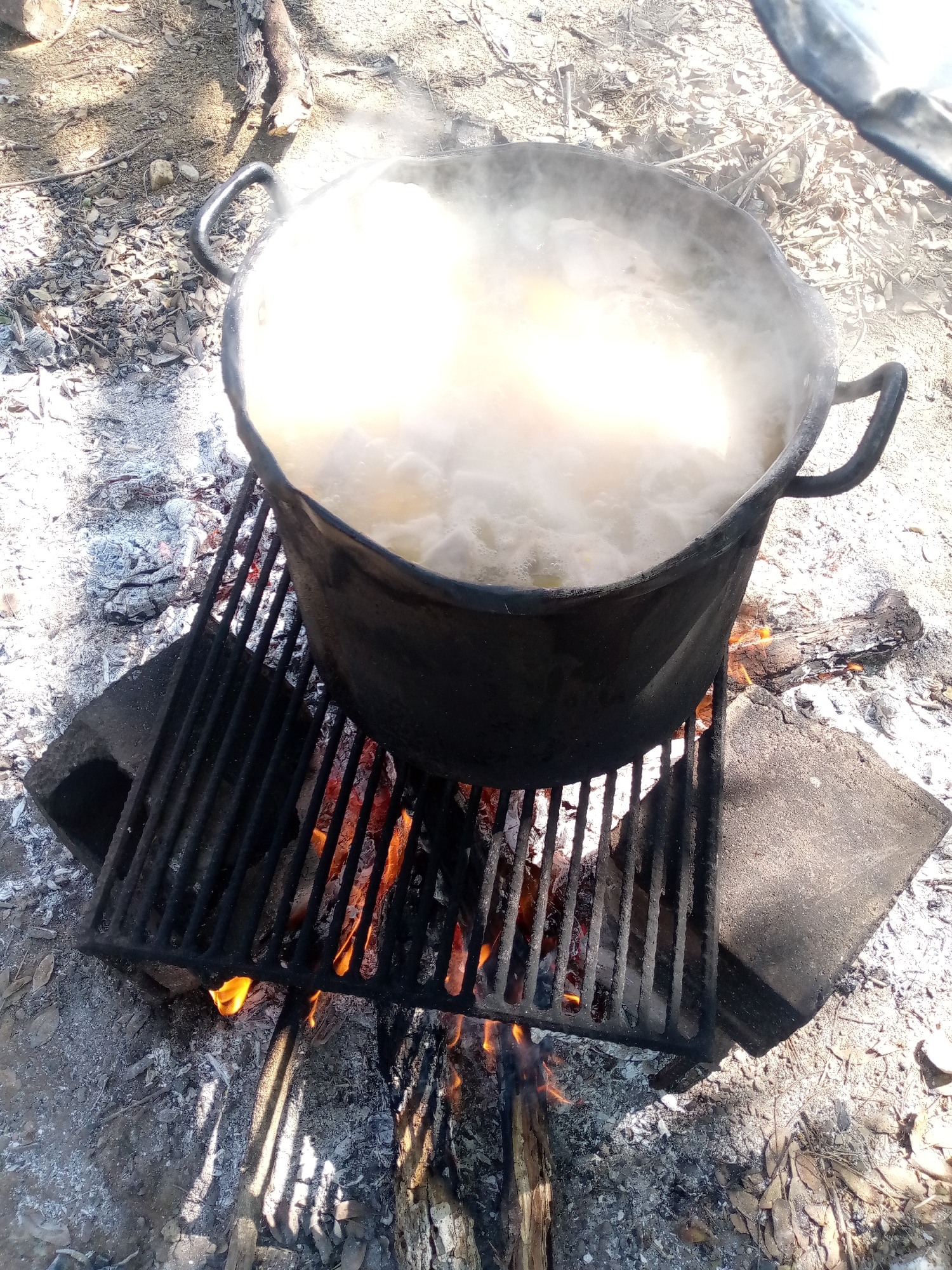 A high-angle outdoor photograph captures a large, dark, heavy-duty pot boiling vigorously over an open fire. The pot, equipped with two sturdy handles, is filled with a white, frothy liquid that emits a significant amount of steam. It is positioned on a robust, black metal grill rack, which is supported by two dark, rectangular blocks, likely concrete, on the ground.
Beneath the grill, bright orange flames and glowing embers are clearly visible, indicating an active fire fueled by burnt wood logs and charcoal. The surrounding ground consists of light brown dirt, scattered dry leaves, and distinct patches of white and grey ash, suggesting a site used for fires. A dark, indistinct object or a part of a hand is partially visible at the top right of the frame.
The scene depicts outdoor cooking or a similar process involving a large volume of liquid being heated. The presence of strong sunlight, evident from the distinct shadows cast by the grill bars onto the ground, indicates a clear, sunny day. The rustic setting, with dirt, leaves, and logs, suggests a rural or campsite environment, consistent with the context of Las Guevaras, Venezuela. No visible text is present in the image.