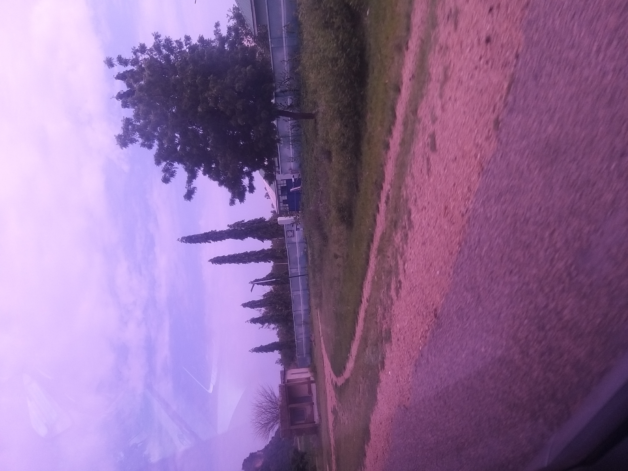 The image depicts a scene from Ture, Nigeria, characterized by a predominantly purple hue across the sky, clouds, and ground. A dirt road, with visible tire tracks, curves from the foreground into the middle ground. On the left side of the road, a small, light-colored building with an open-fronted porch stands. Further back, a line of tall, slender trees is visible, interspersed with a blue fence. A large, dark-leaved tree dominates the right side of the image, with a portion of a building with a green roof visible behind it. The sky is filled with scattered clouds, and the overall atmosphere suggests an outdoor setting, possibly a rural or semi-rural area within Ture.
