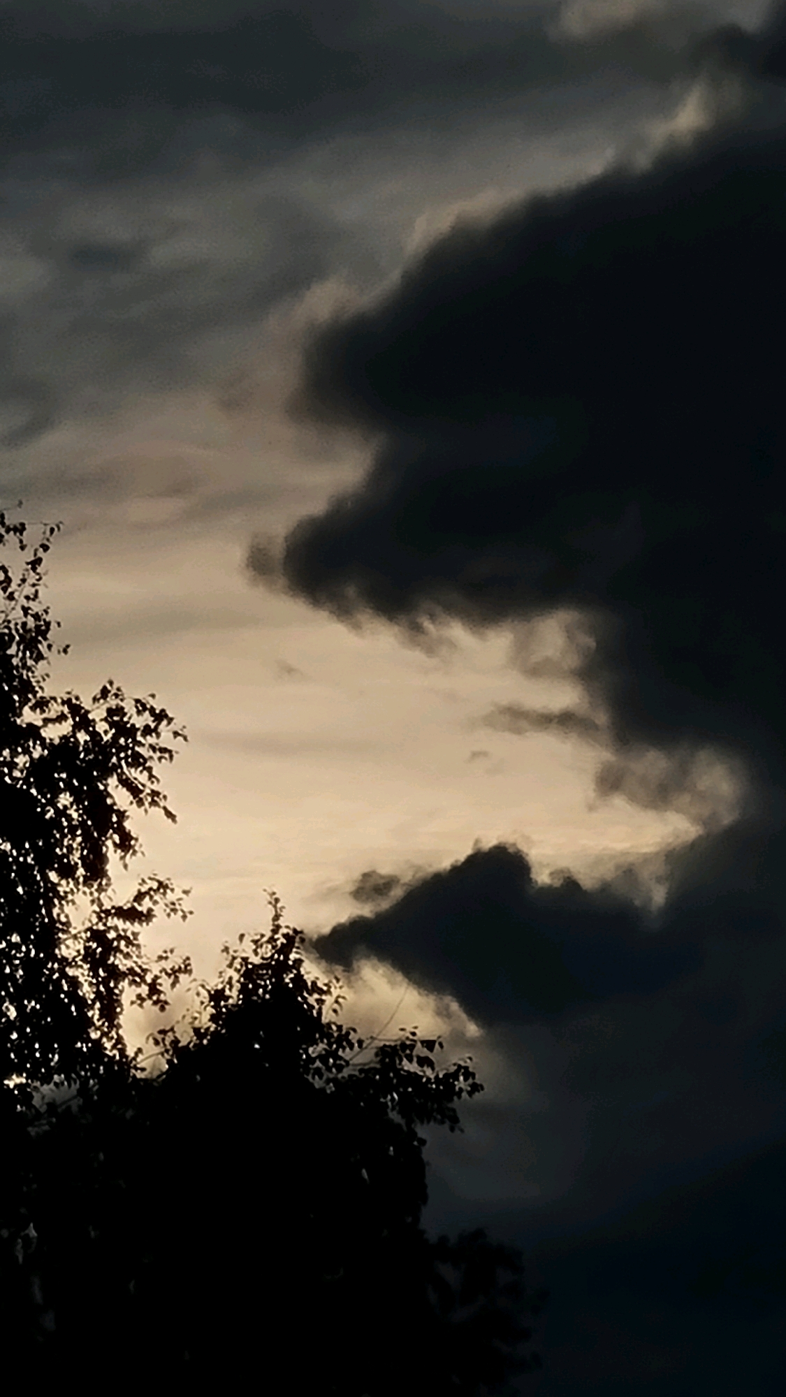 The image captures a dramatic sky scene dominated by dark, looming clouds. A silhouette of trees, their leaves detailed and dark against the lighter sky, occupies the lower left portion of the frame. The contrast between the silhouetted foliage and the turbulent sky creates a sense of impending weather. The sky itself is a mix of deep grays and blacks, with lighter, muted tones peeking through, suggesting either an overcast day or the approach of dusk. The lighting is diffused and atmospheric. No people, specific buildings, or urban elements are visible, making it a naturalistic depiction of the sky over Vysokoe, Russia.